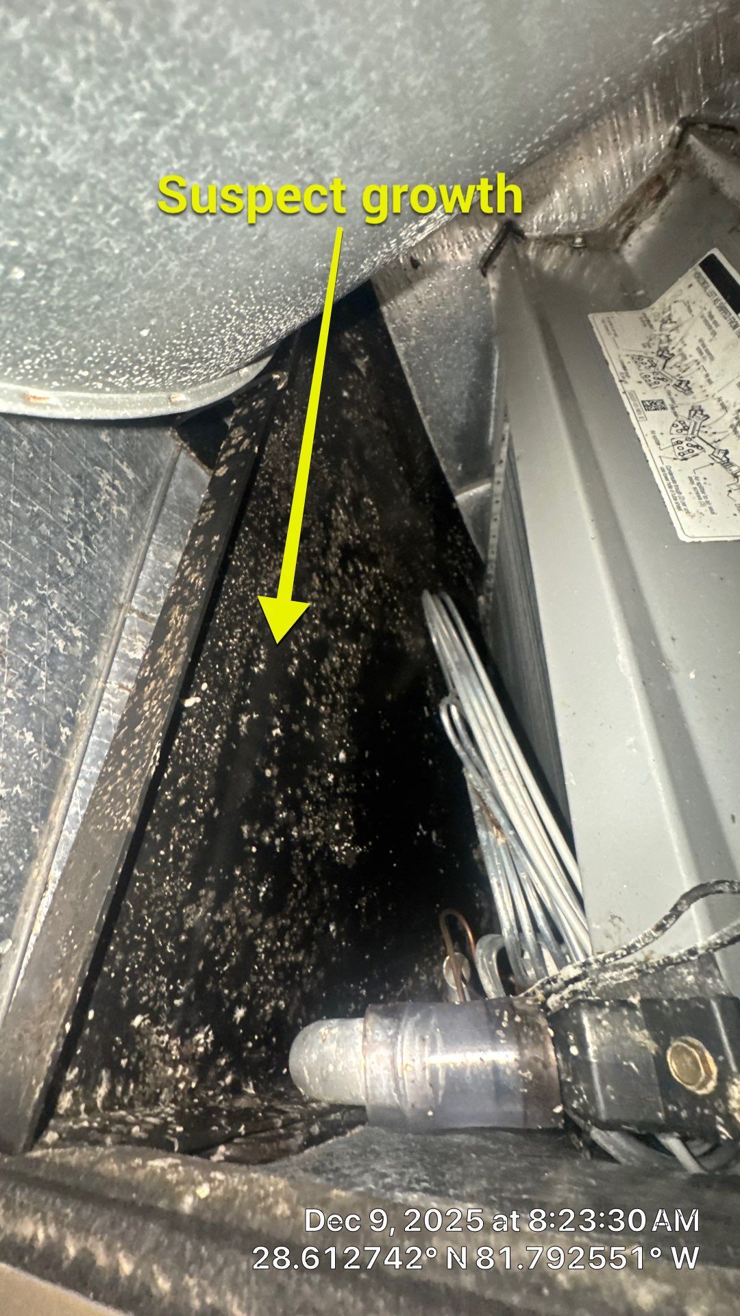 Air Duct Cleaning in Groveland by Hygienic Air, Inc