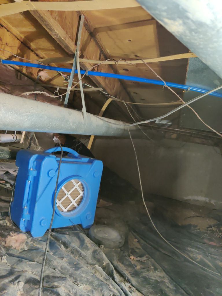 Crawl Space Cleanup  by Accountable Home Services