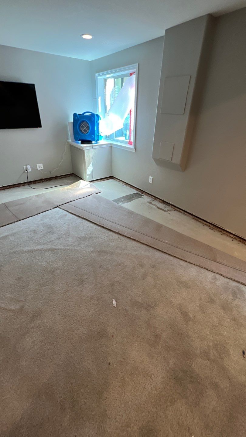 Mold Remediation  by Accountable Home Services