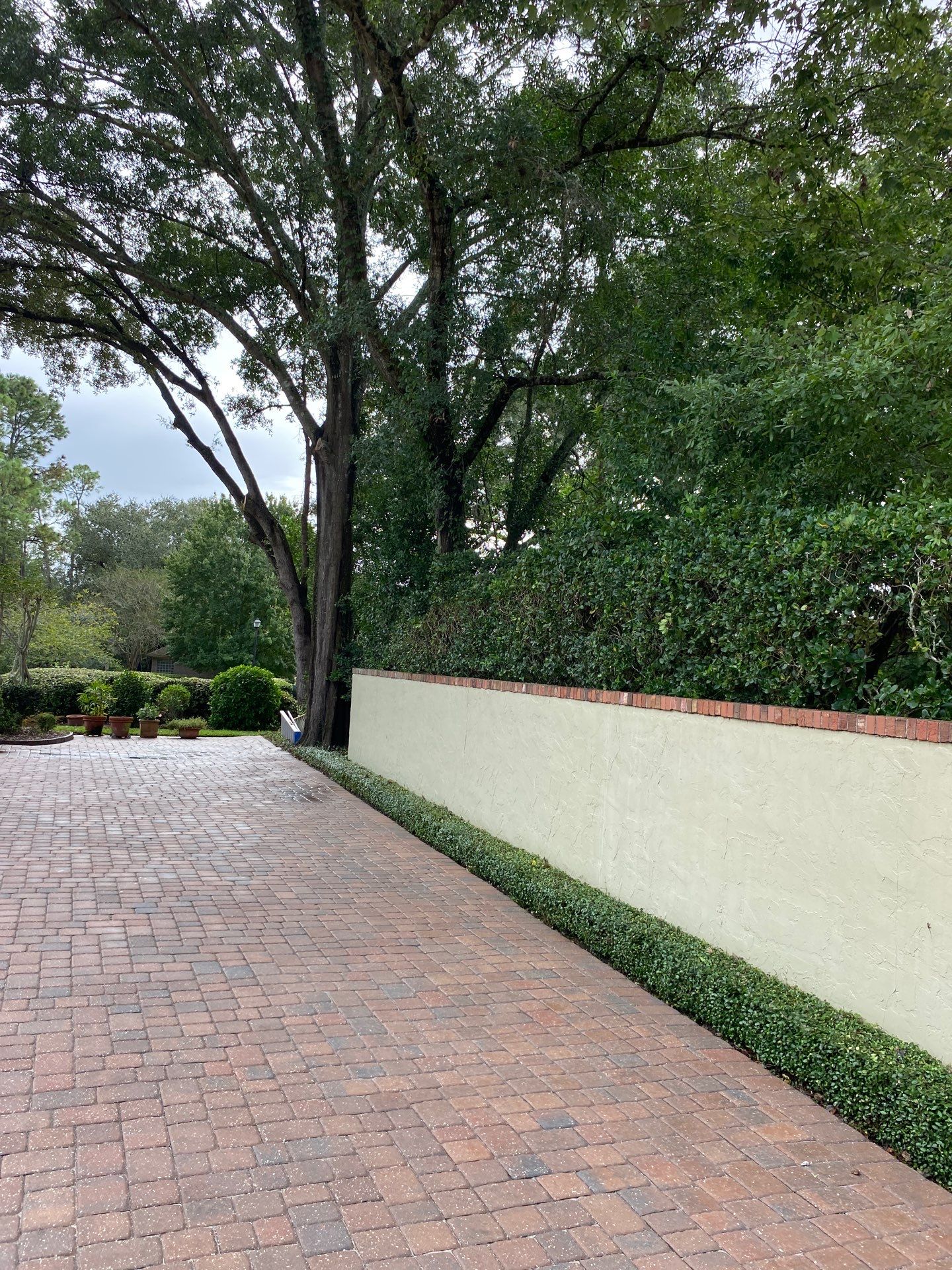 Deerwood Resident | Shrub Work by ProGreen Services