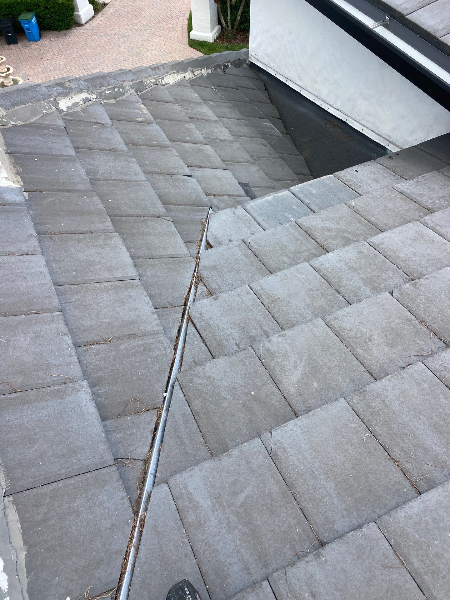 Windermere Concrete Tile Roof Repair and Protective Mesh Installation by Tip Top Roofing Co., Inc.