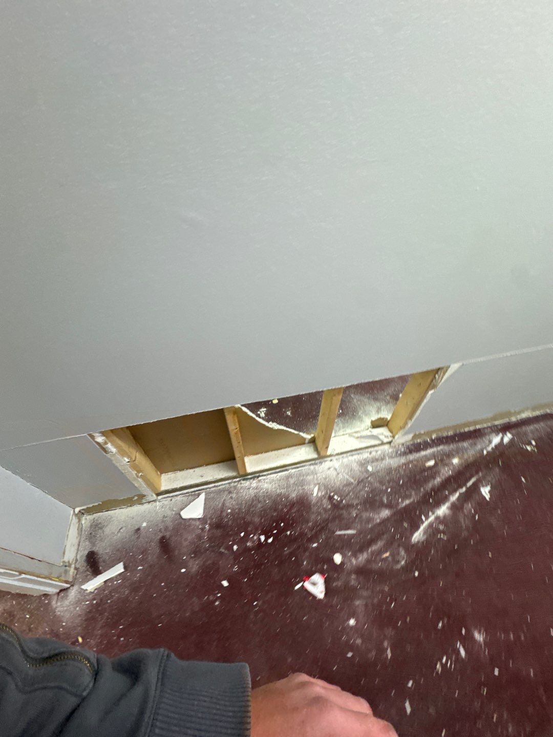 Project in Commerce Twp by EzDry Water Mitigation & Property Restoration