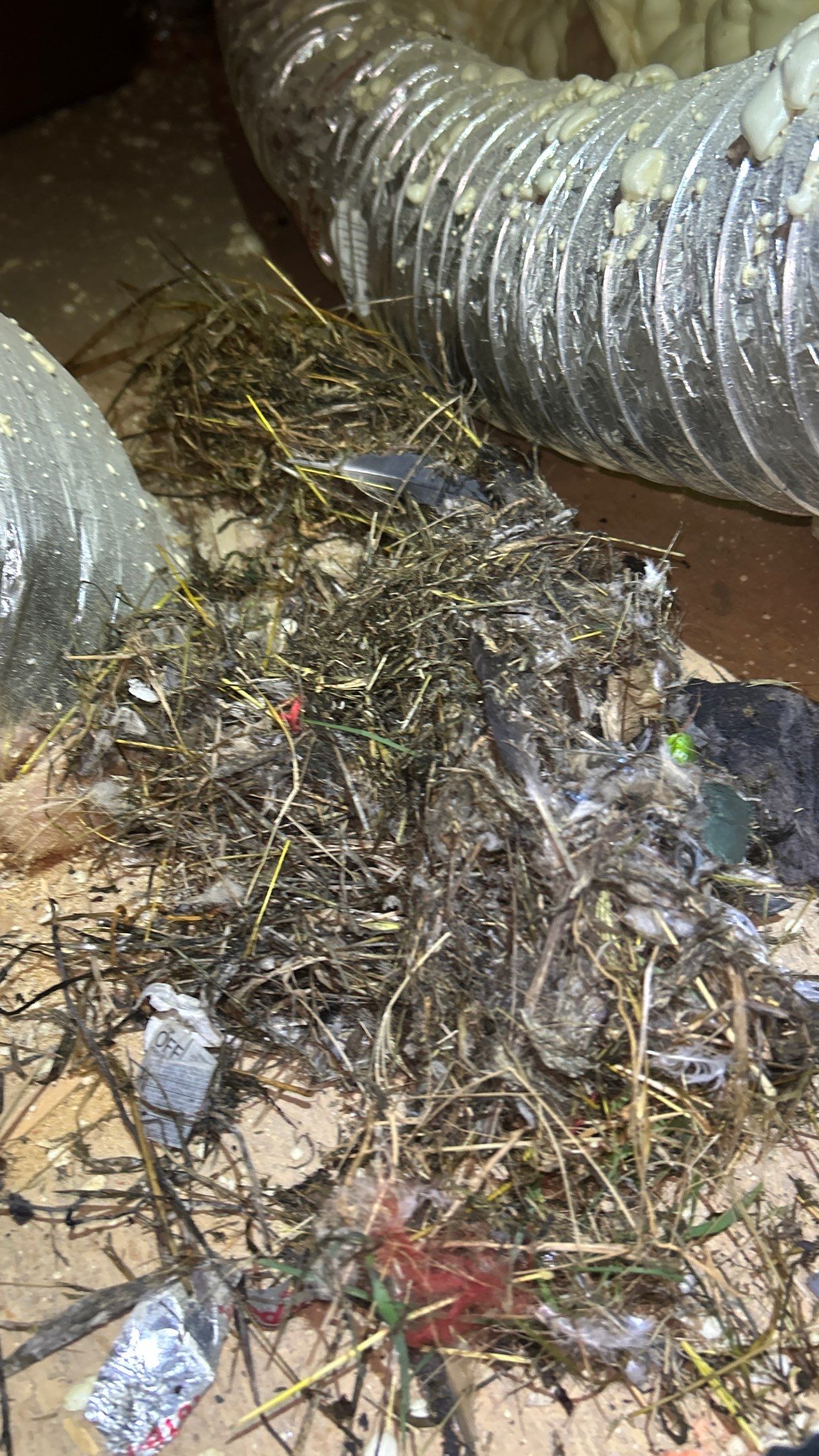 $0 Pop-In Visit — Dryer Vent Concern (Resolved) In San Antonio 78212 by Proud Pops
