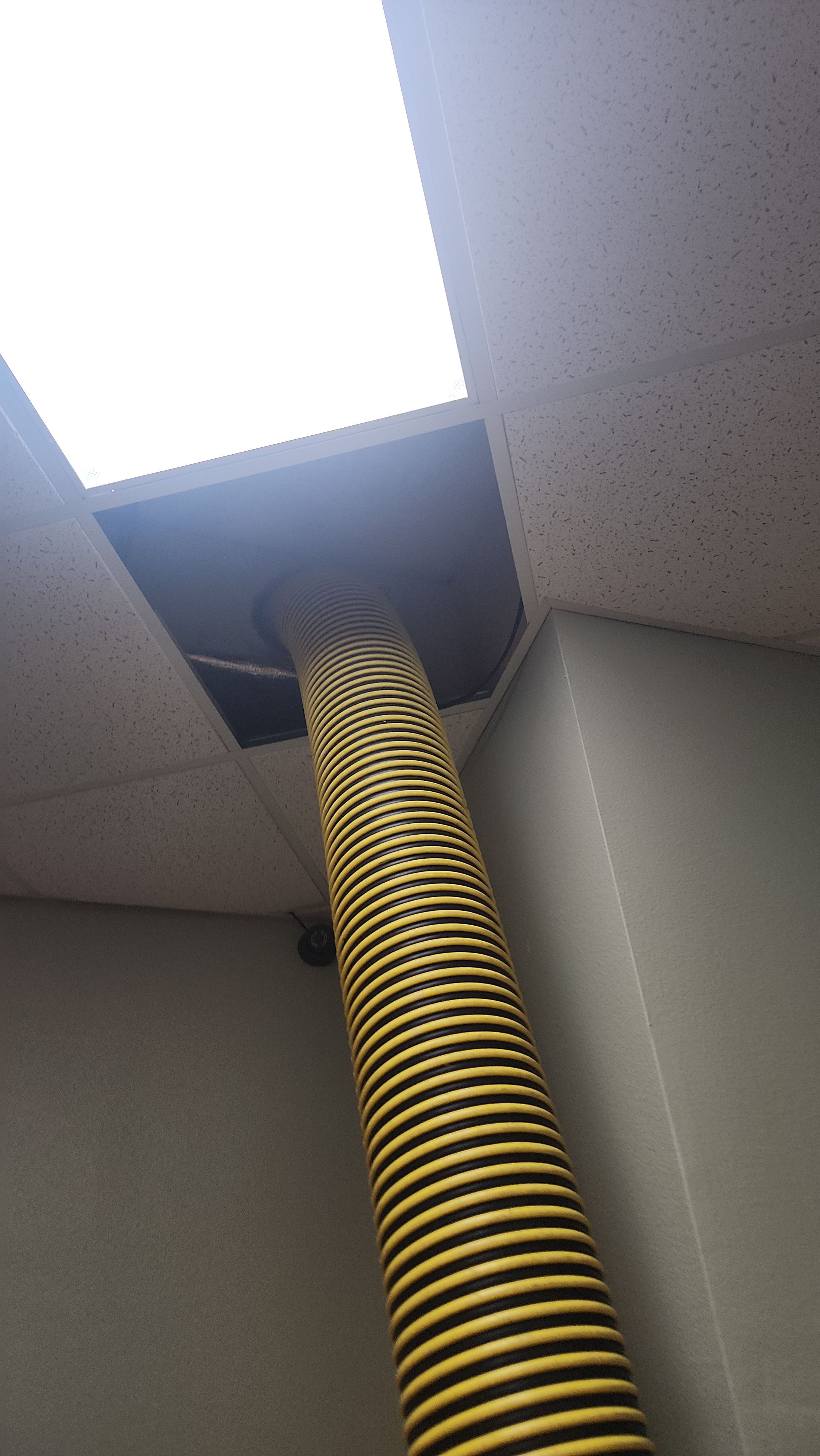 Commercial Air Duct Cleaning in Tavares by Hygienic Air, Inc