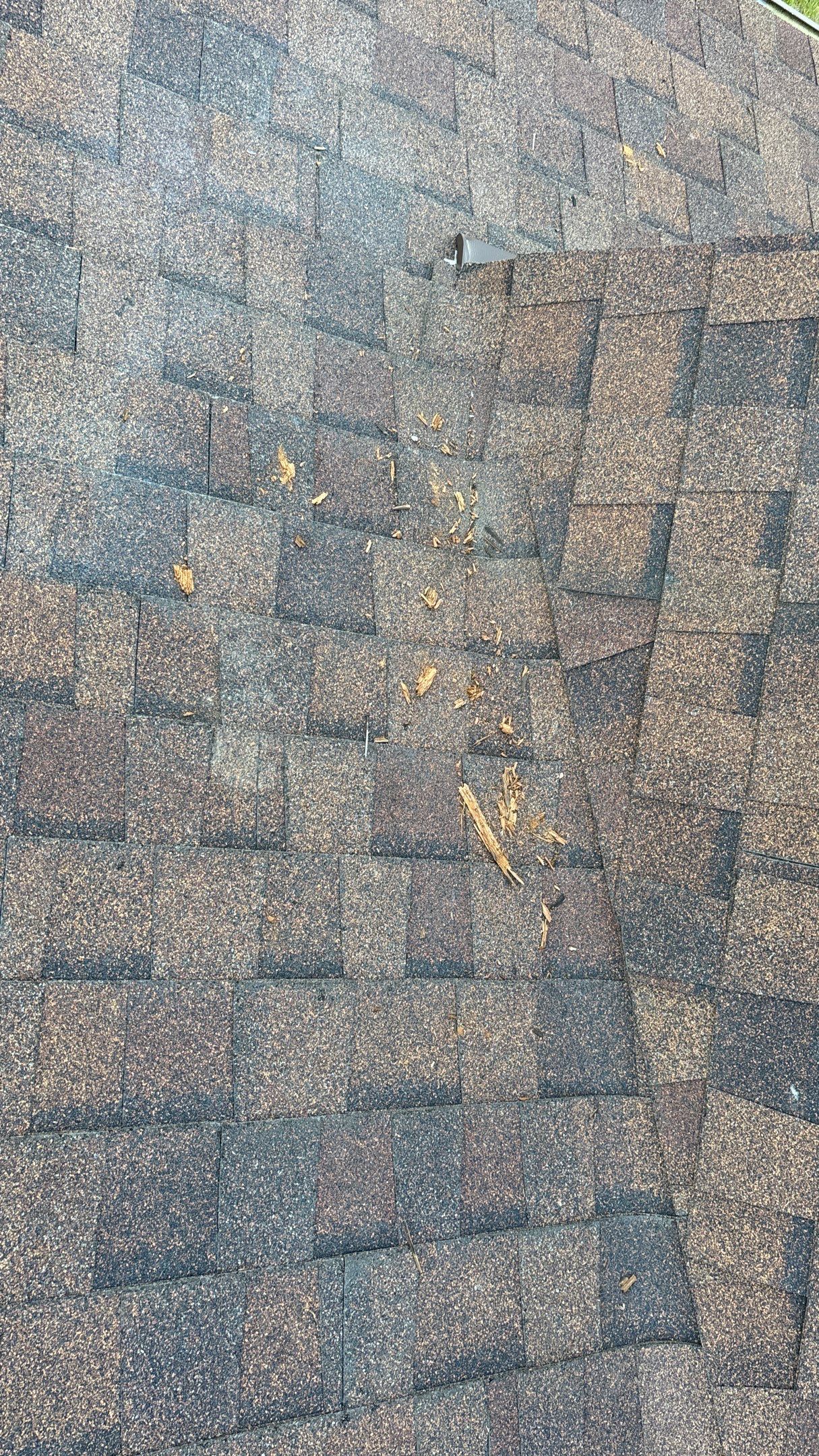 Siding Replacement using Alside Charter Oak D4.5" by 180 Contractors