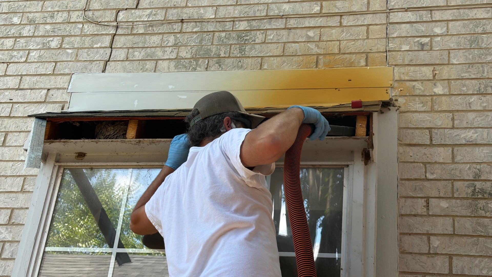 No Rush for these Bees by Rockwall Honey Bee Company
