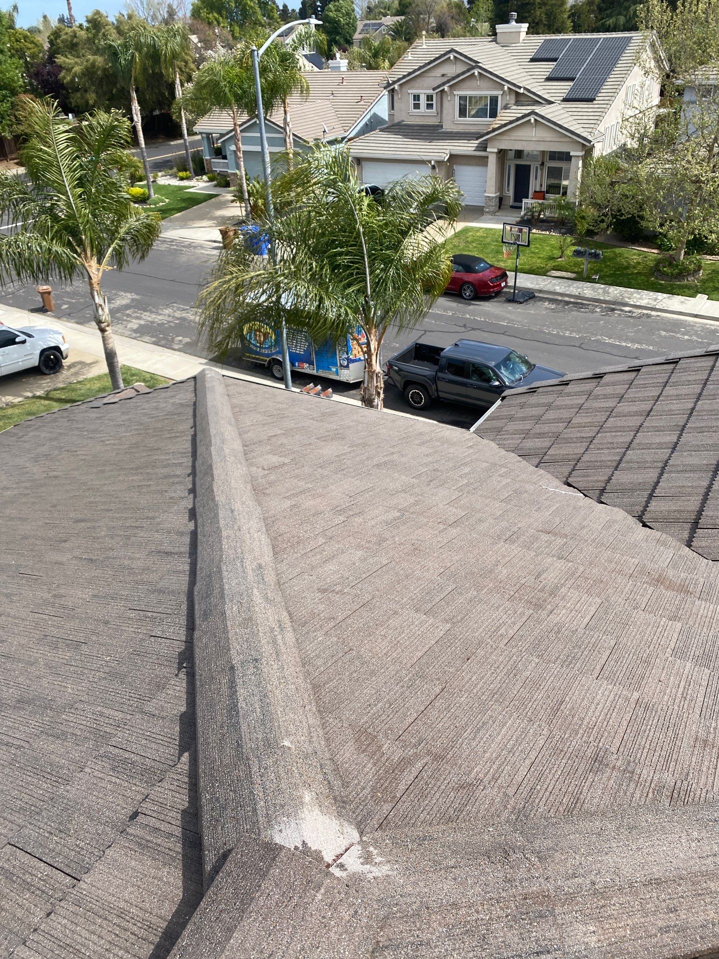 Moss Removal by Top Elevation