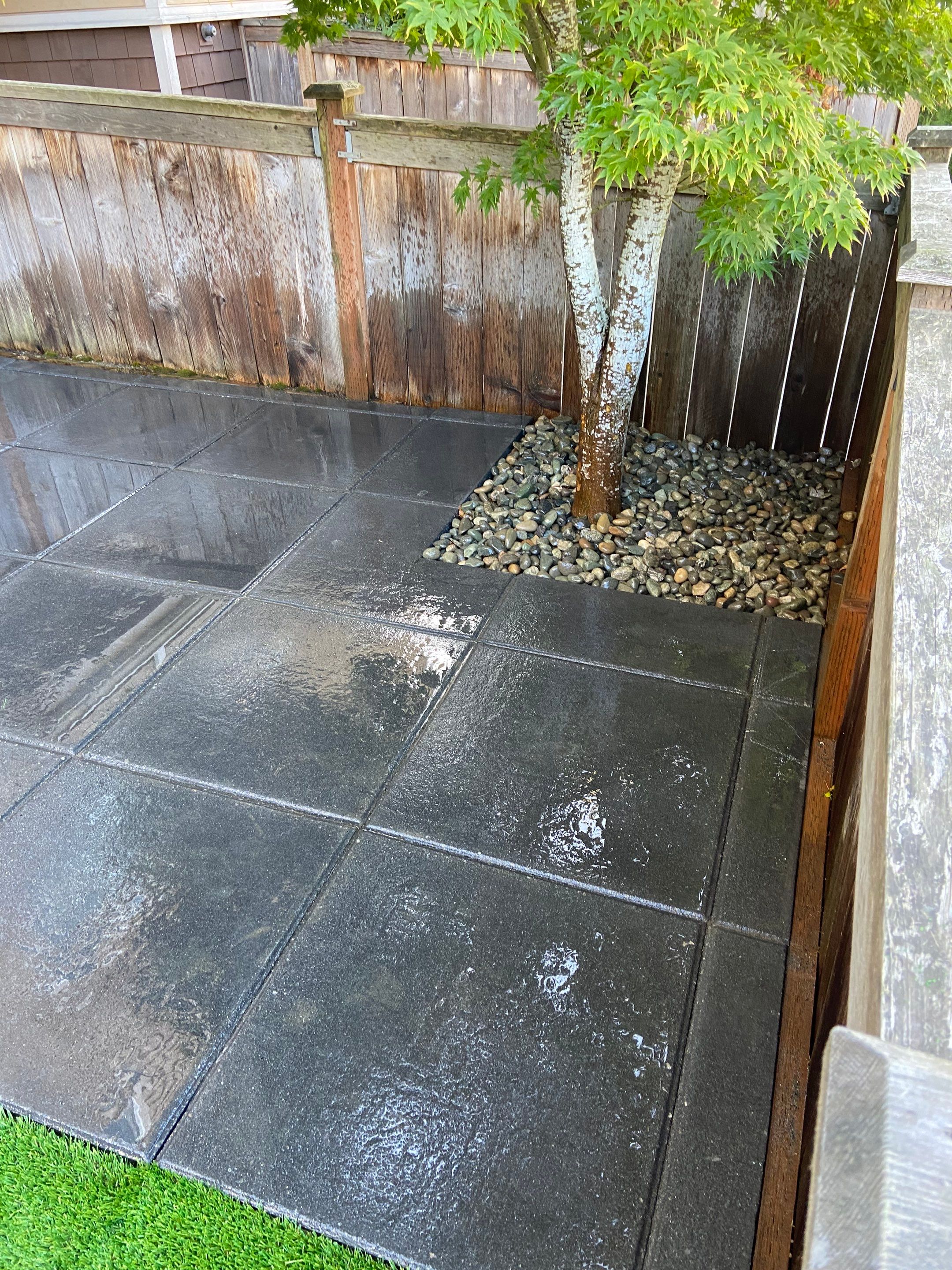 Paver Walkway & Turf Installation | Seattle  by Jireh Asphalt & Concrete Inc 