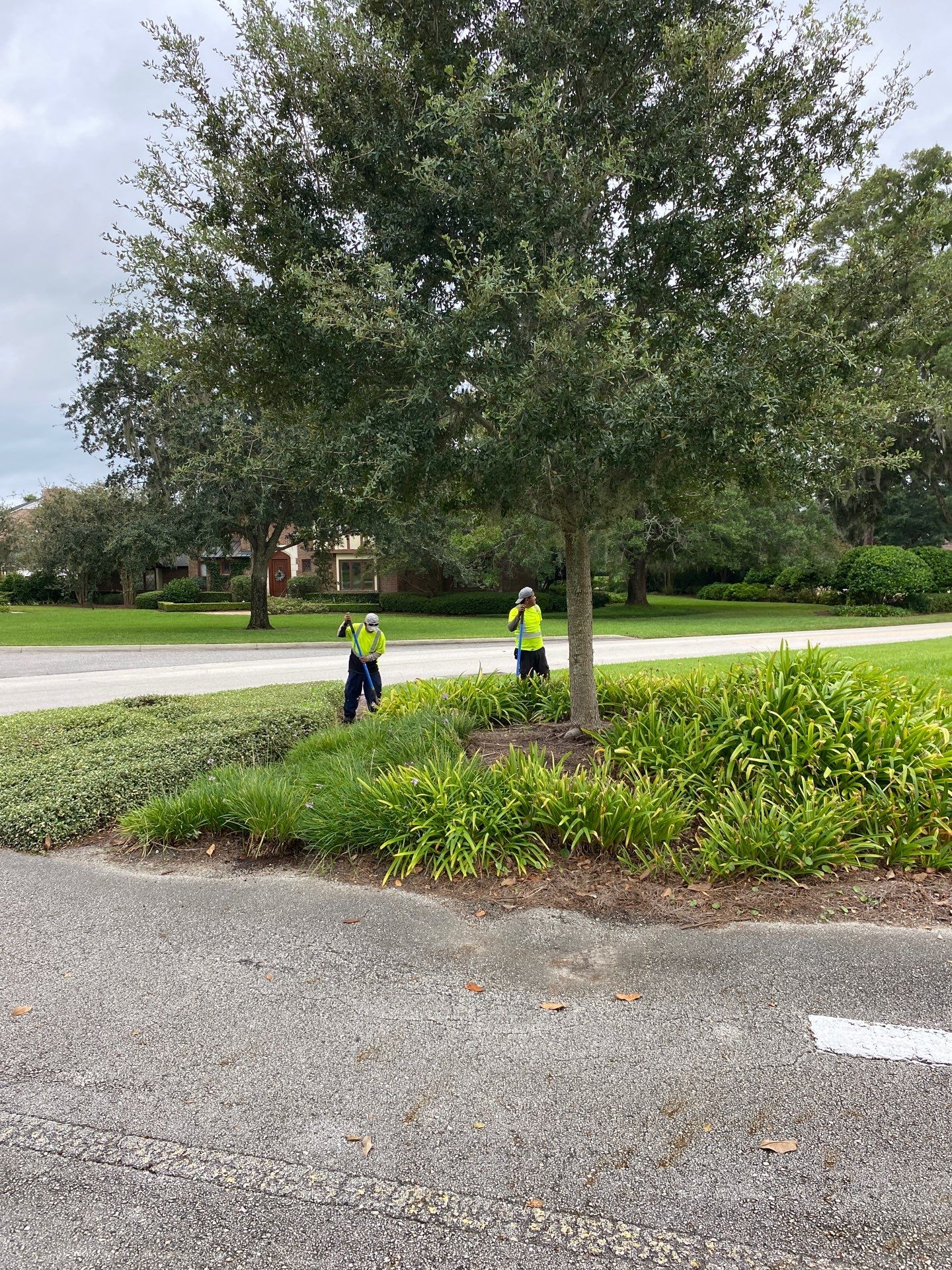 Deerwood Community | Island Landscape Replacement by ProGreen Services