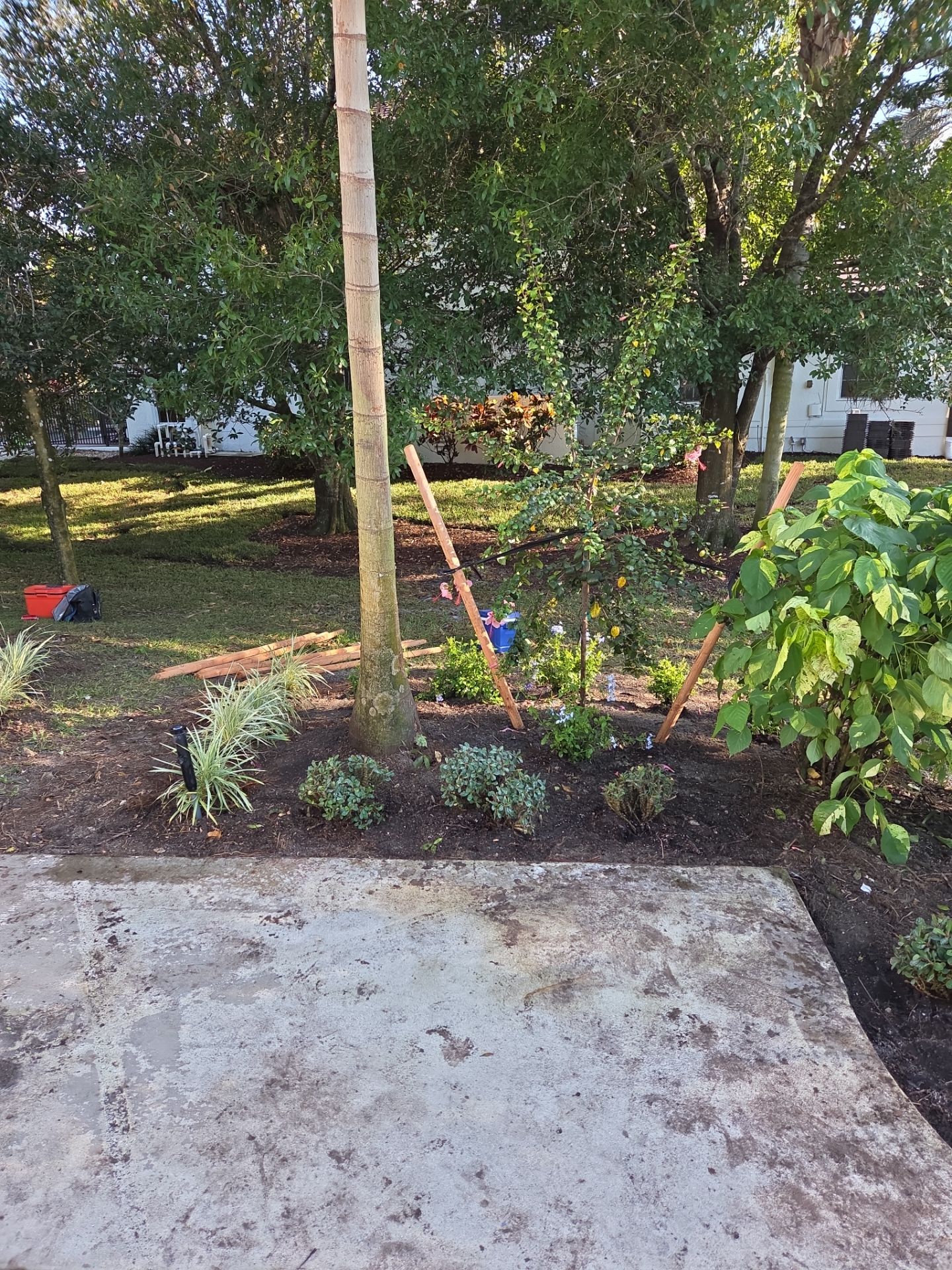 🌴 Landscape Removal and Install in Palm City by Alpha Zeta Enterprises Inc