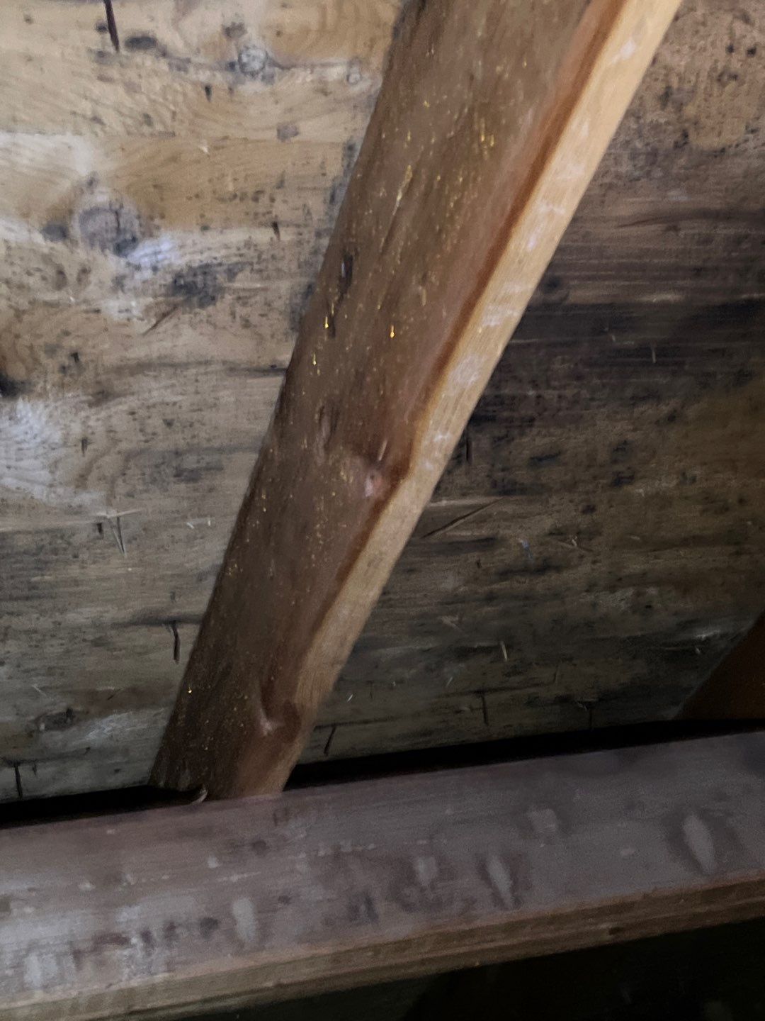 Residential Roofing Repair by Storm Guard of South Metro Denver