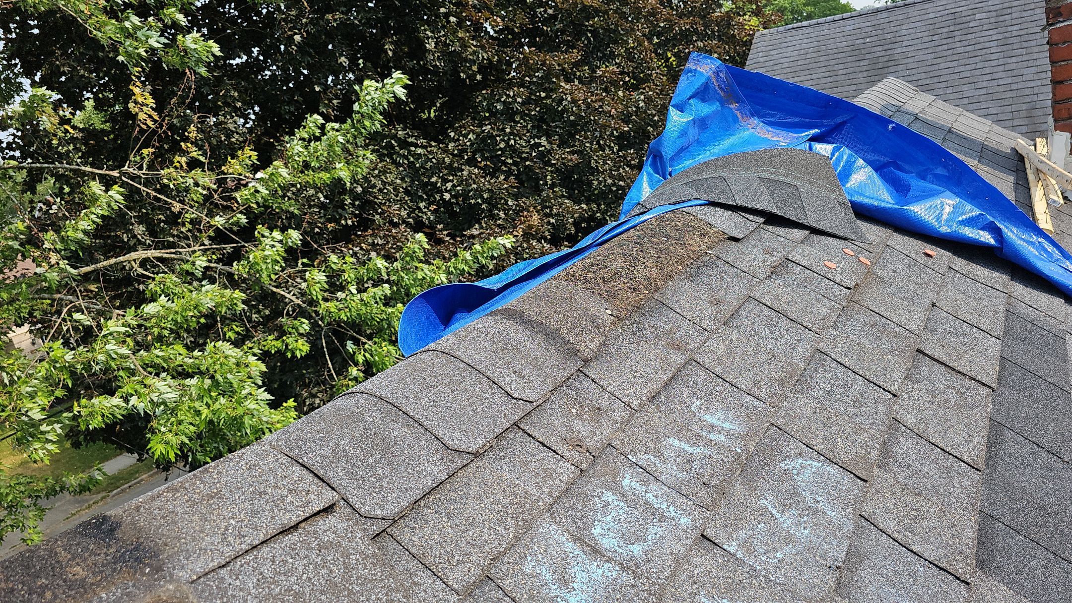 ATLAS PINNACLE COLOR: BLACK SHADOW by Eagle Eye Roofing