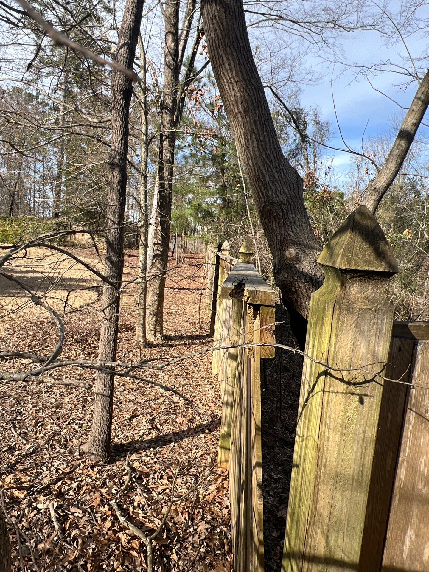 6' Cedar Good Neighbor Fence Repair French Gothic 6x6 by Roberson Construction LLC