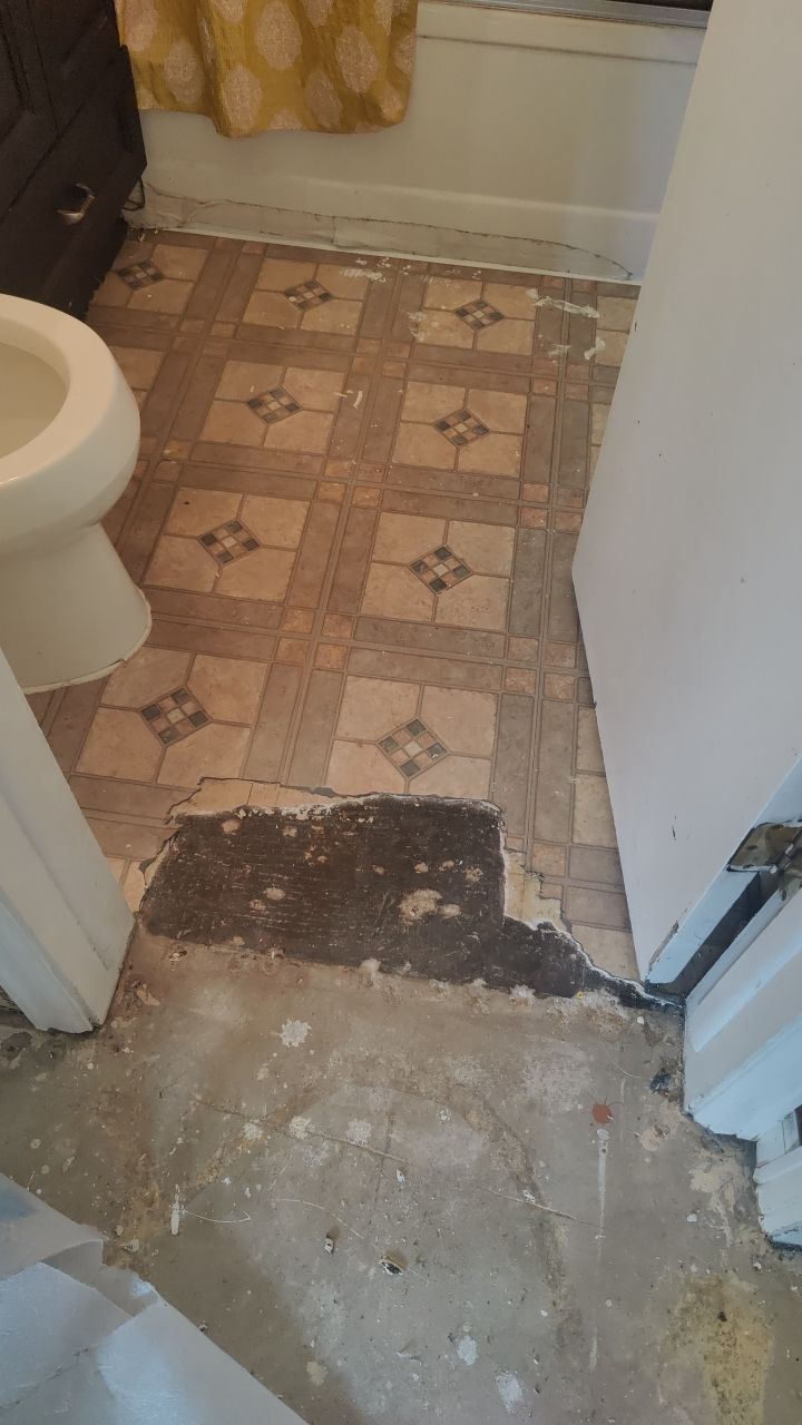 Mold Remediation by Accountable Home Services