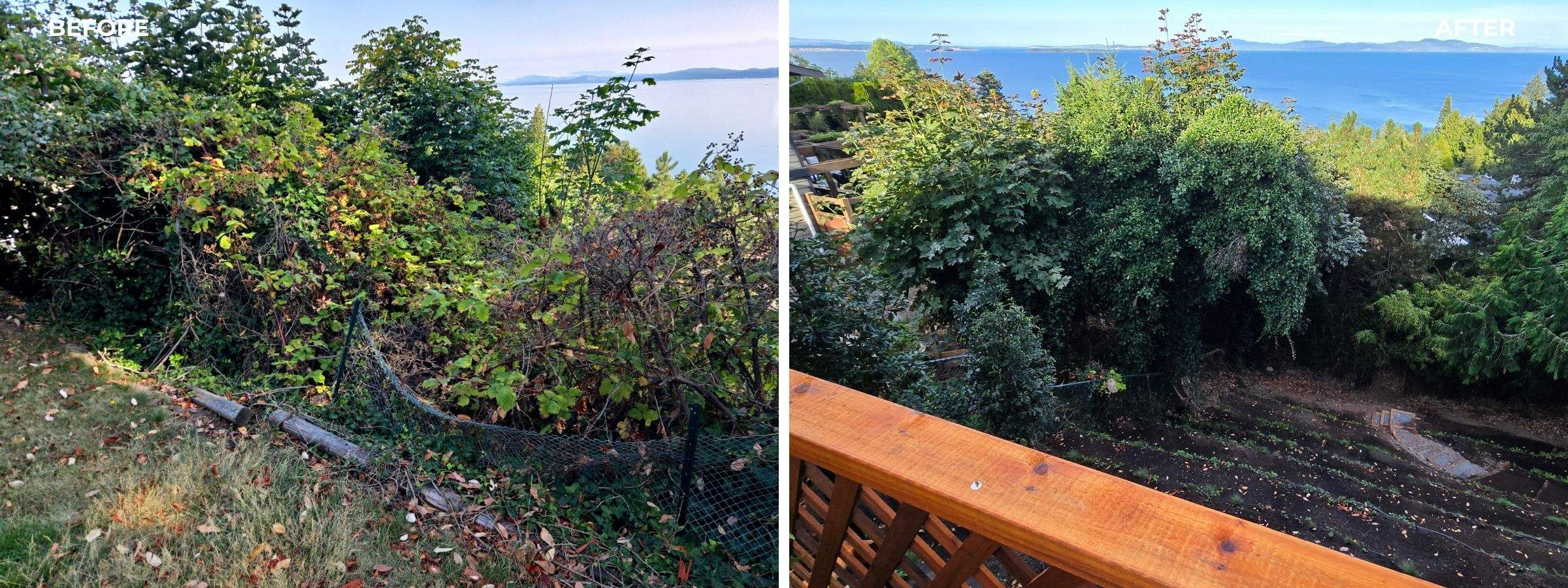 Georgia Park Terrace — Living Slope Transformation by Habanero Landscape Solutions