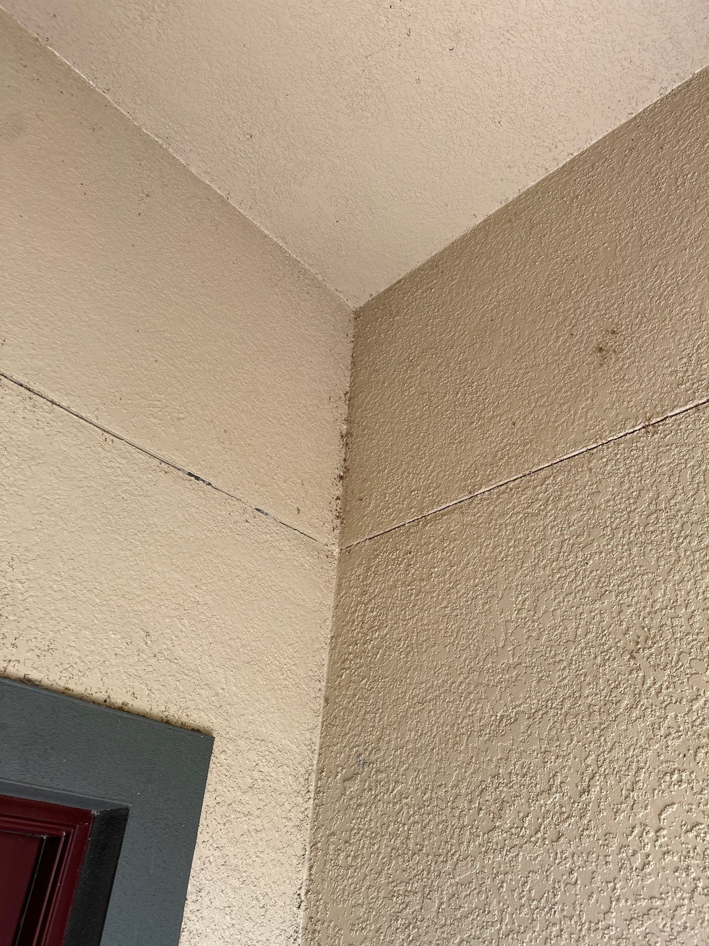 🏡 Full Exterior Cleaning – Old Mill Preserve, Palmetto, FL by Sunshine AquaWash