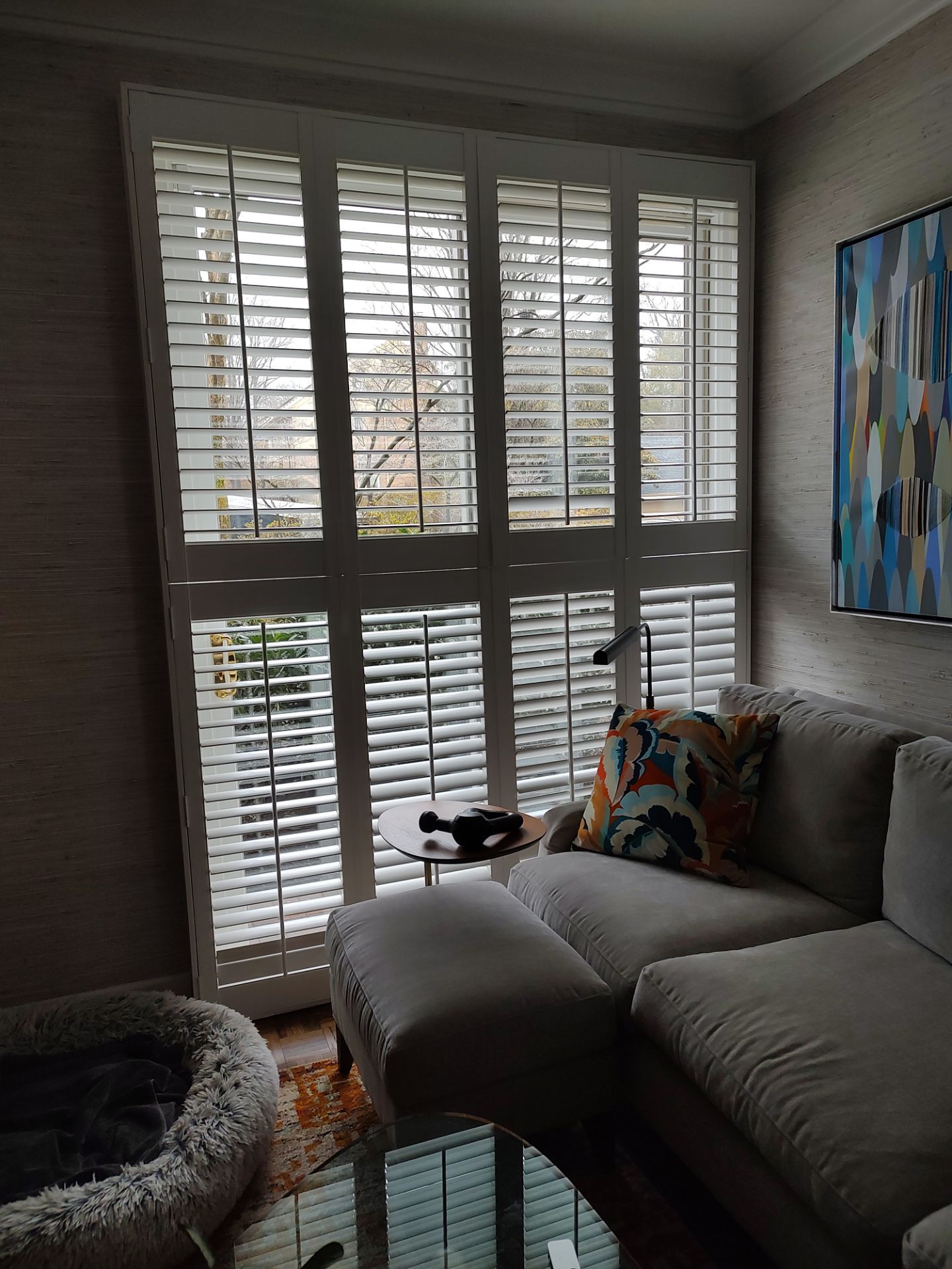 Comprehensive Window and Sliding Door Replacement in Baltimore by Forbes Design Center