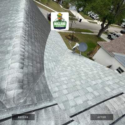 Roof & Solar Panel Cleaning