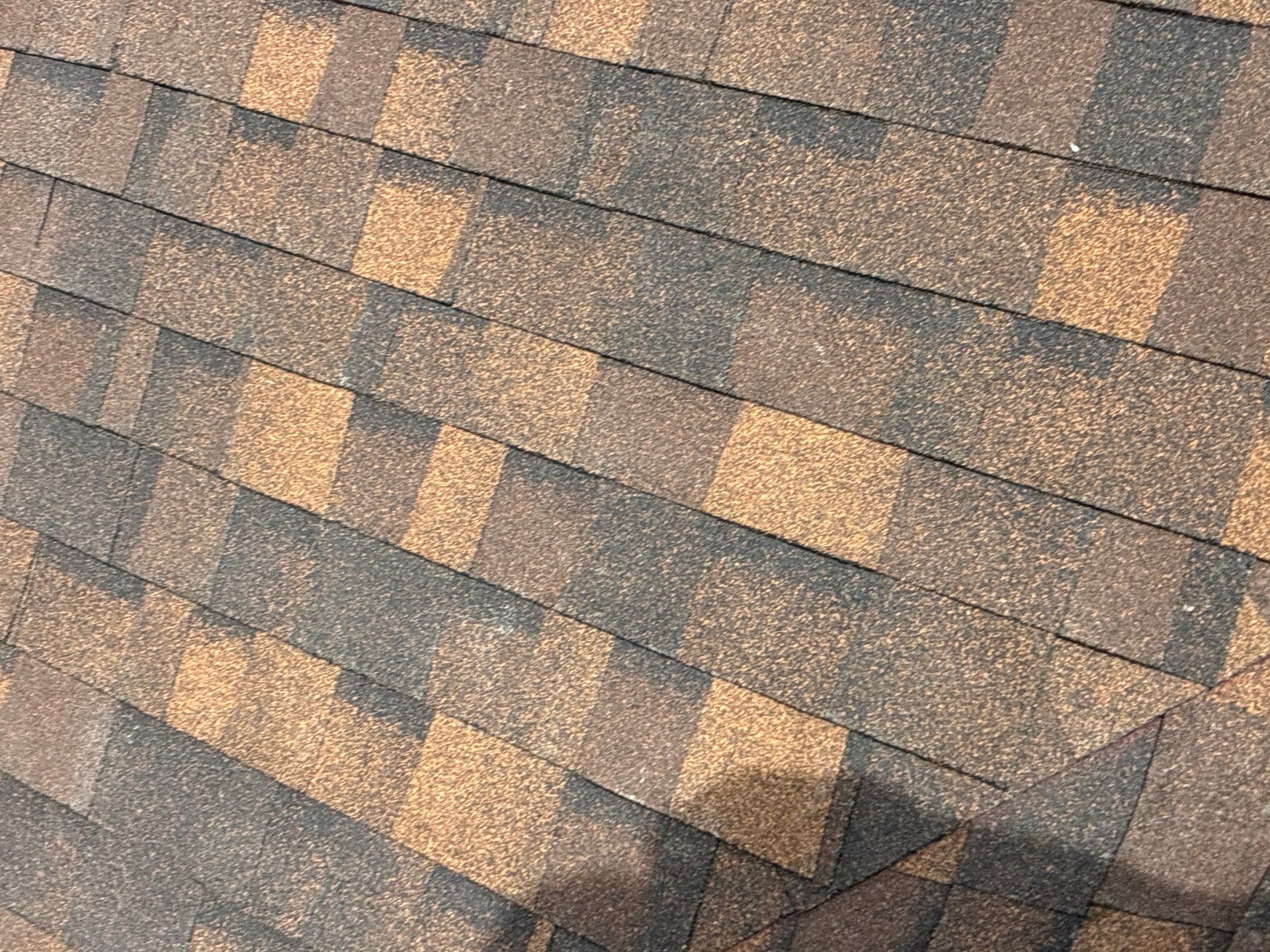 New Roof in Dunnellon, FL by Brehm Roofing