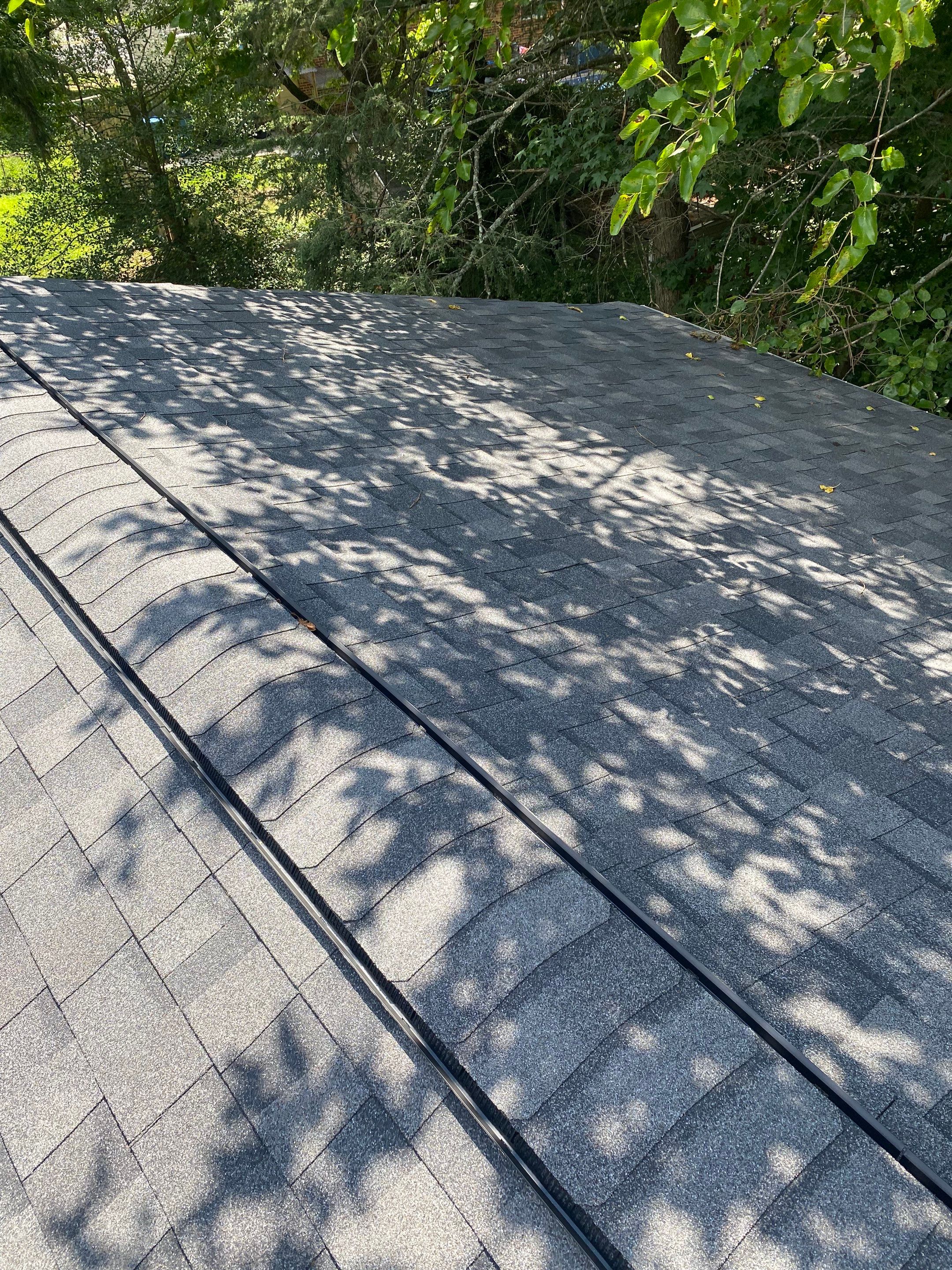 Vienna: CertainTeed Landmark Pro Architectural Shingles in Max Def Pewterwood by RM Banning, Inc.