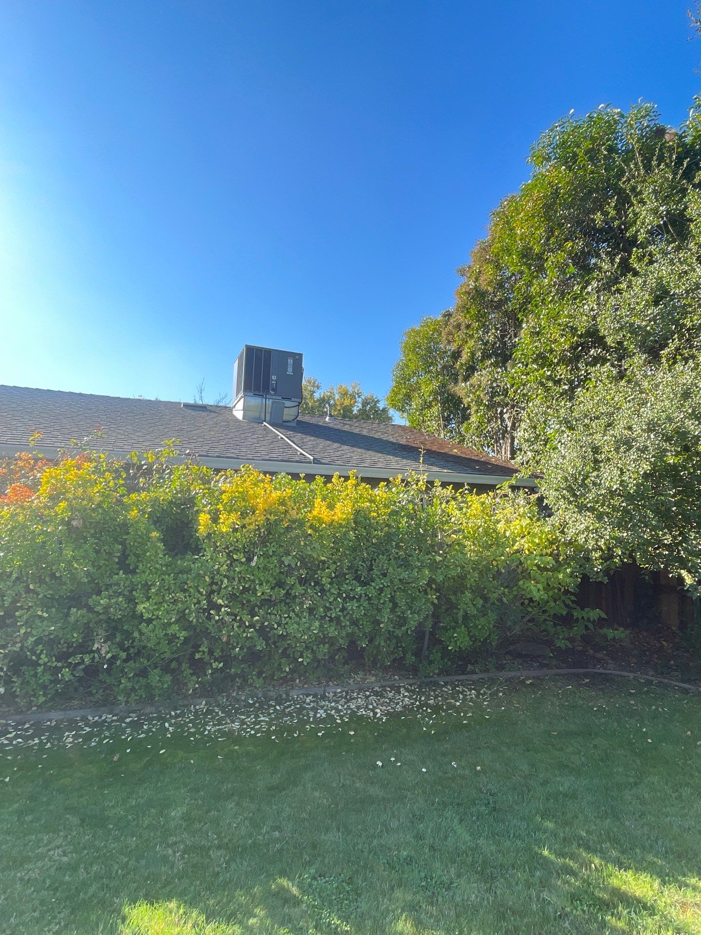 Roof Rejuvenation using Roof Maxx Treatment by Roof Maxx of Folsom