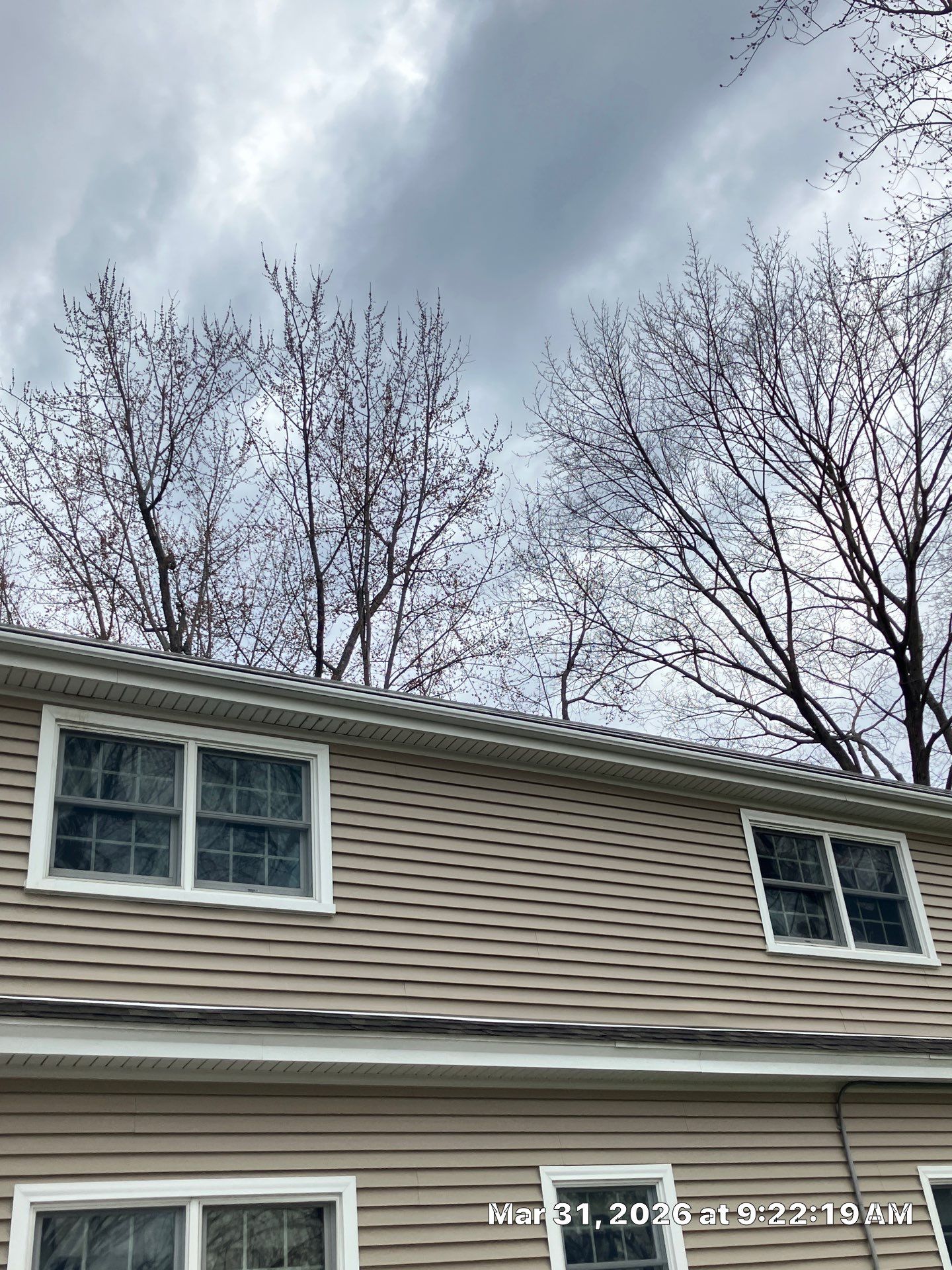 Infinity by Marvin Double-Hung Window Installation by DiGiorgi Roofing and Siding Inc