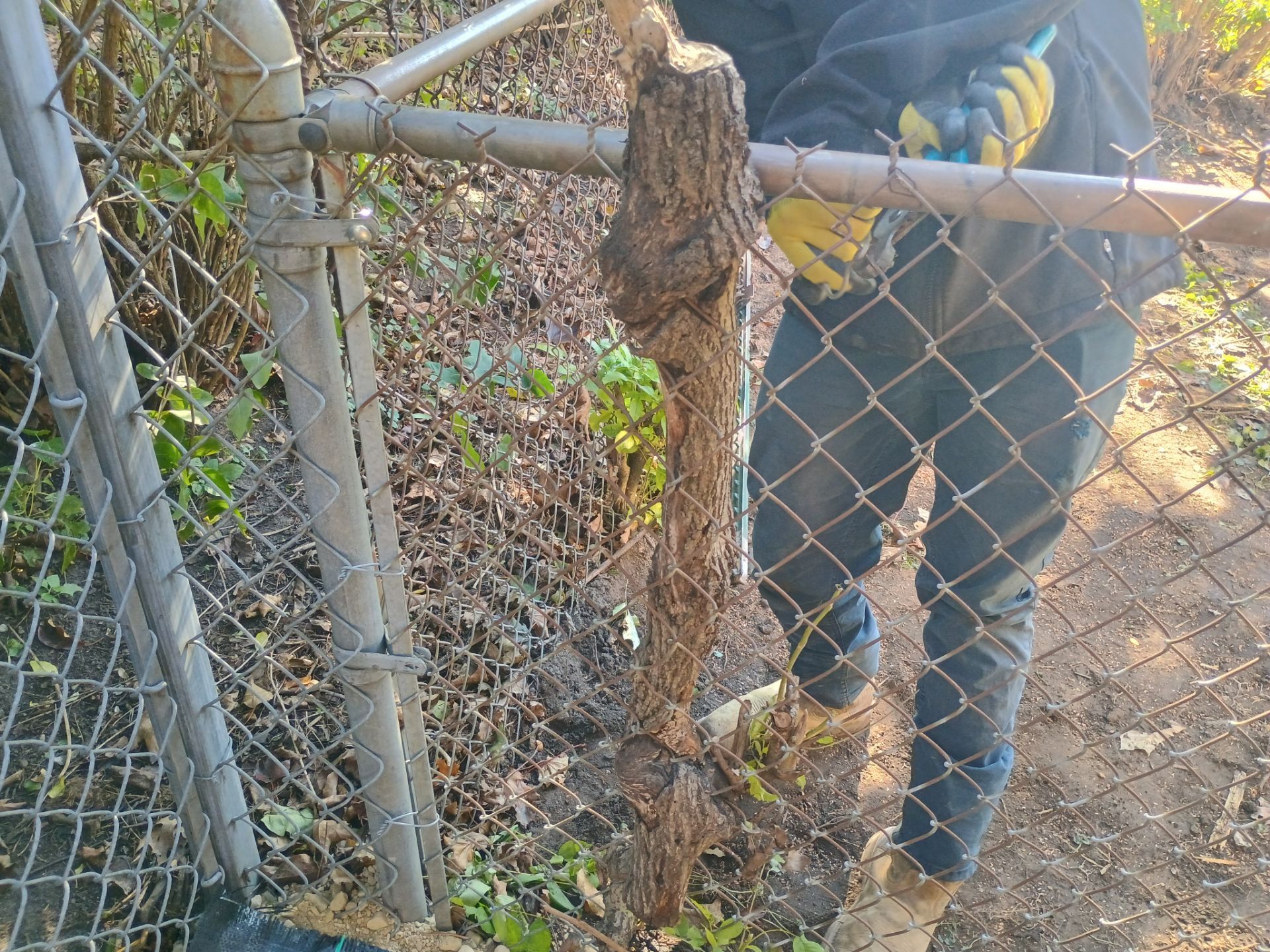 A French Drain for Jeniffer by Waterproofing Northeast