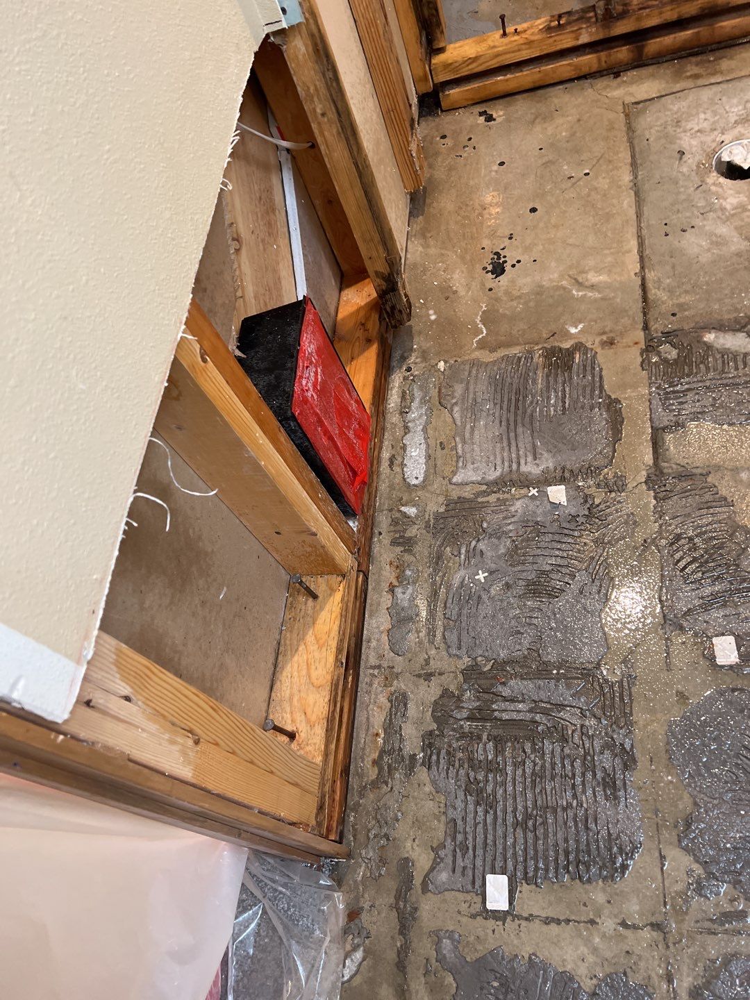 Mold Remediation by Accountable Home Services