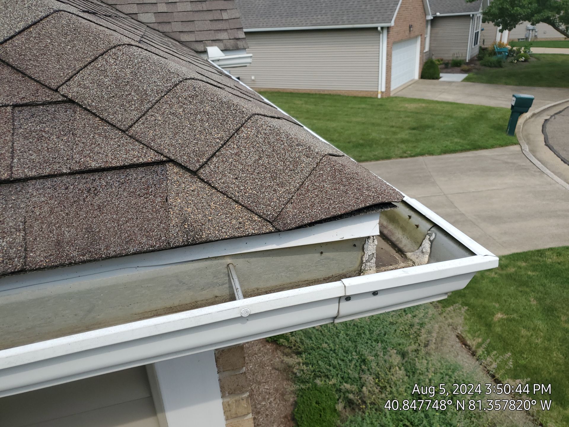 Rae Looby by Silver Leaf Contracting 