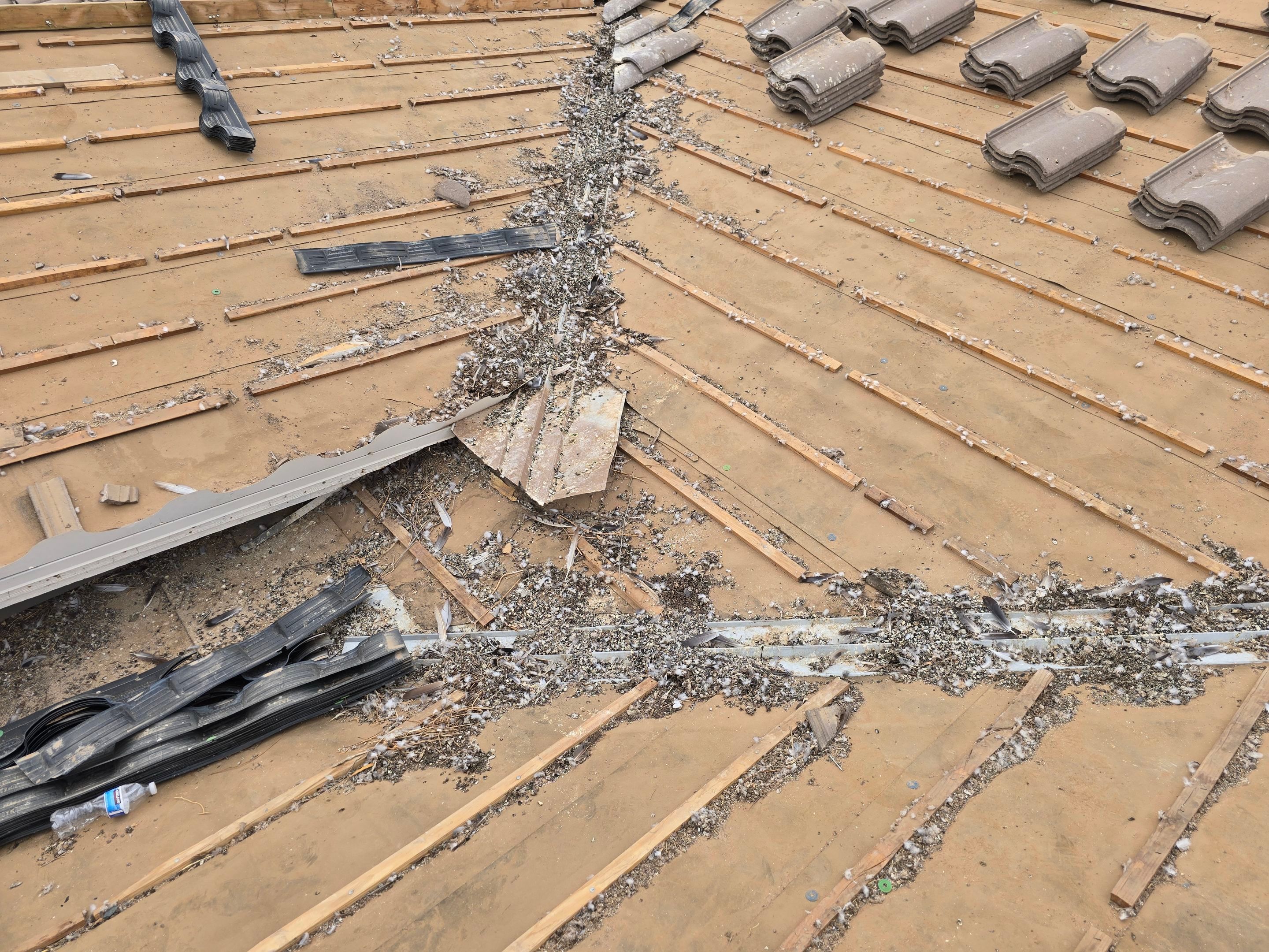 Project in Buckeye, AZ by Showtime Roofing & Coatings LLC