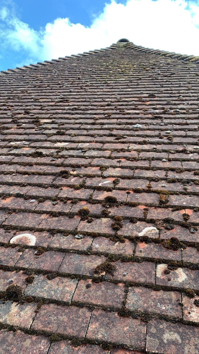 Roof and Patio Cleaning using Honda 15lpm Low Pressure Washing Machine by Ges Exterior Cleaning ltd