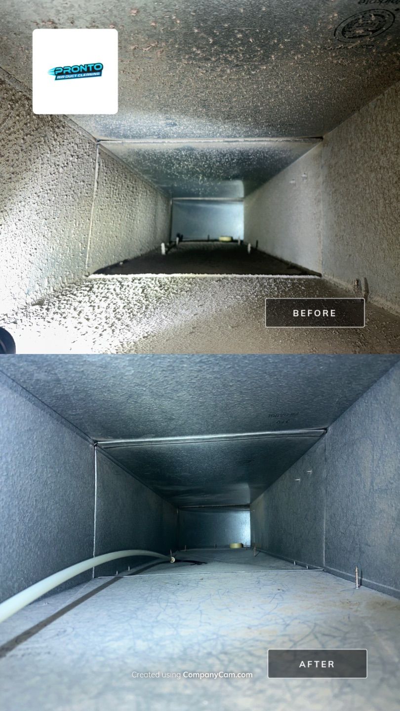 Air Duct + Dryer Duct Cleaning  by Pronto Air Duct Cleaning