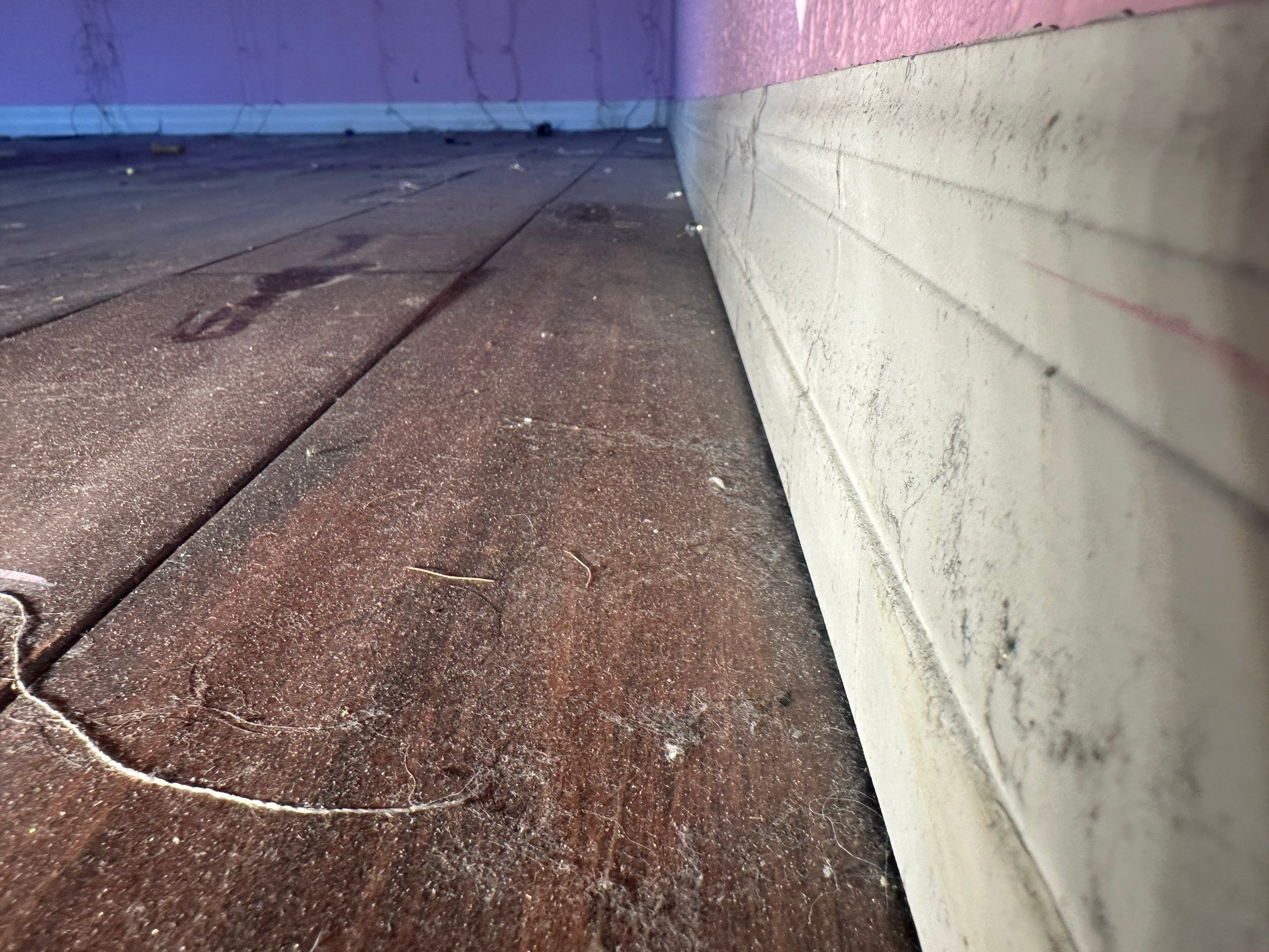 Flood Damage Claim in Tampa  by FLAPA & KeyStone