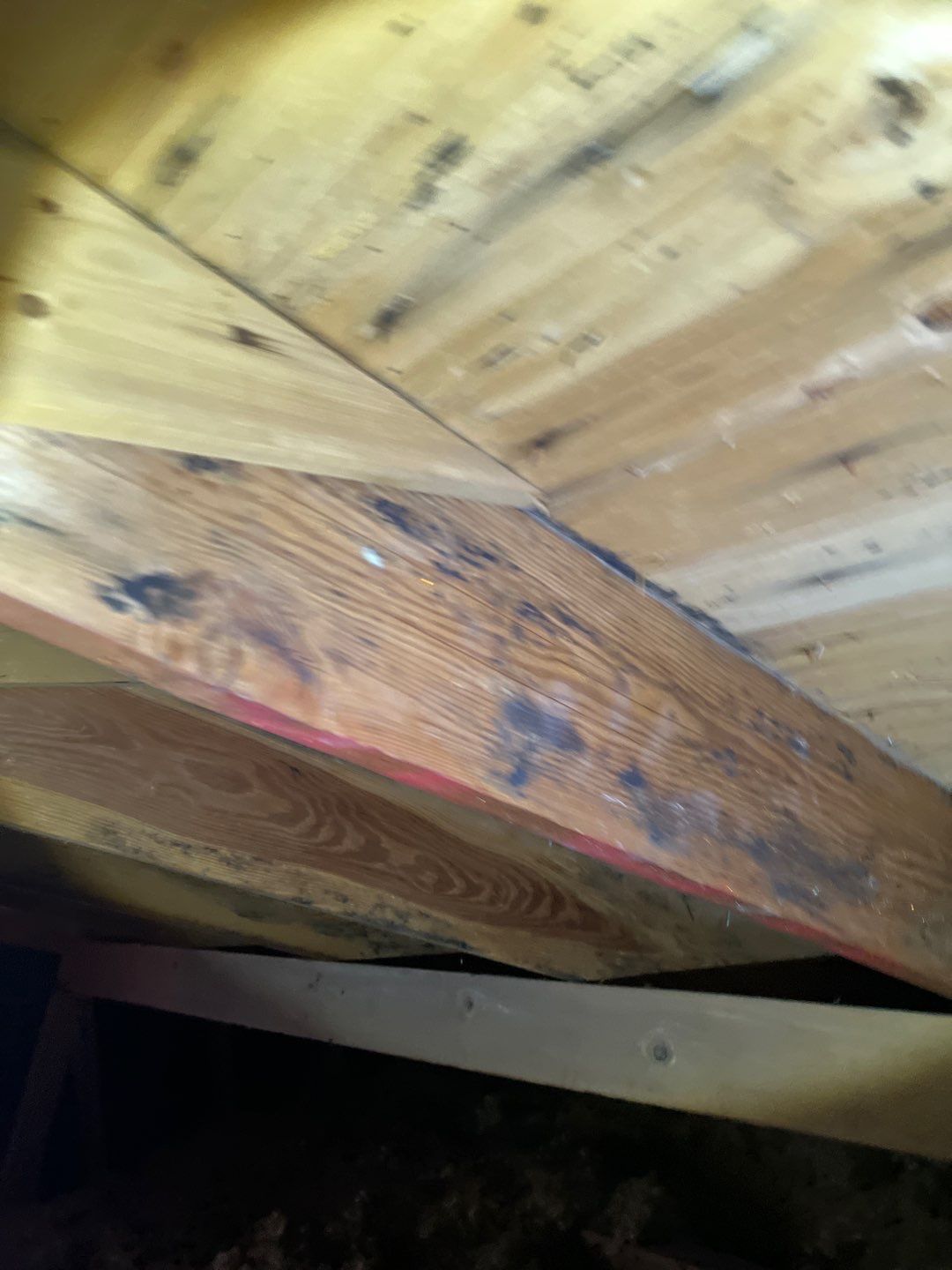 Residential Roofing Repair by Storm Guard of South Metro Denver