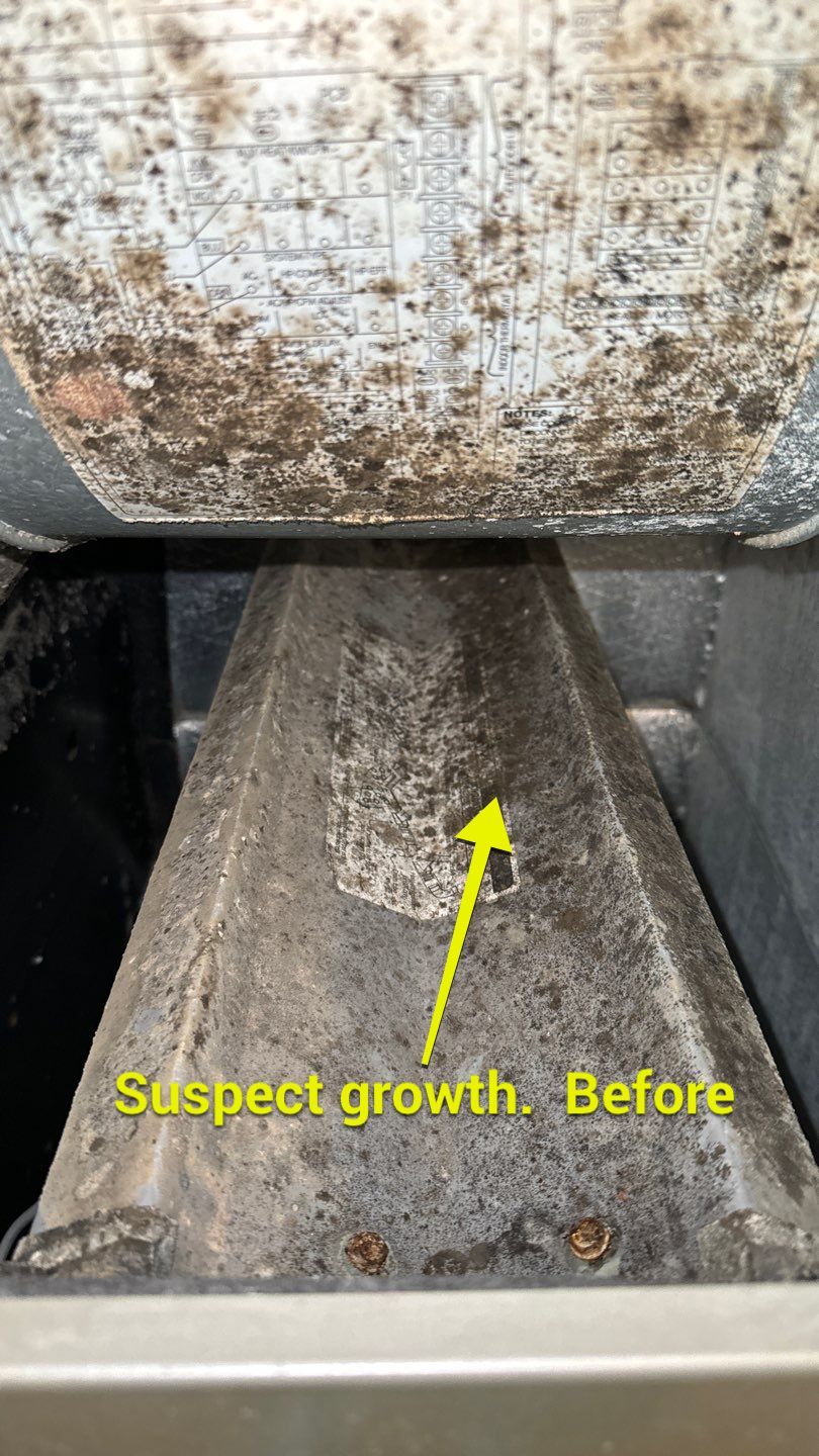 Air Duct Cleaning in Tavares by Hygienic Air, Inc