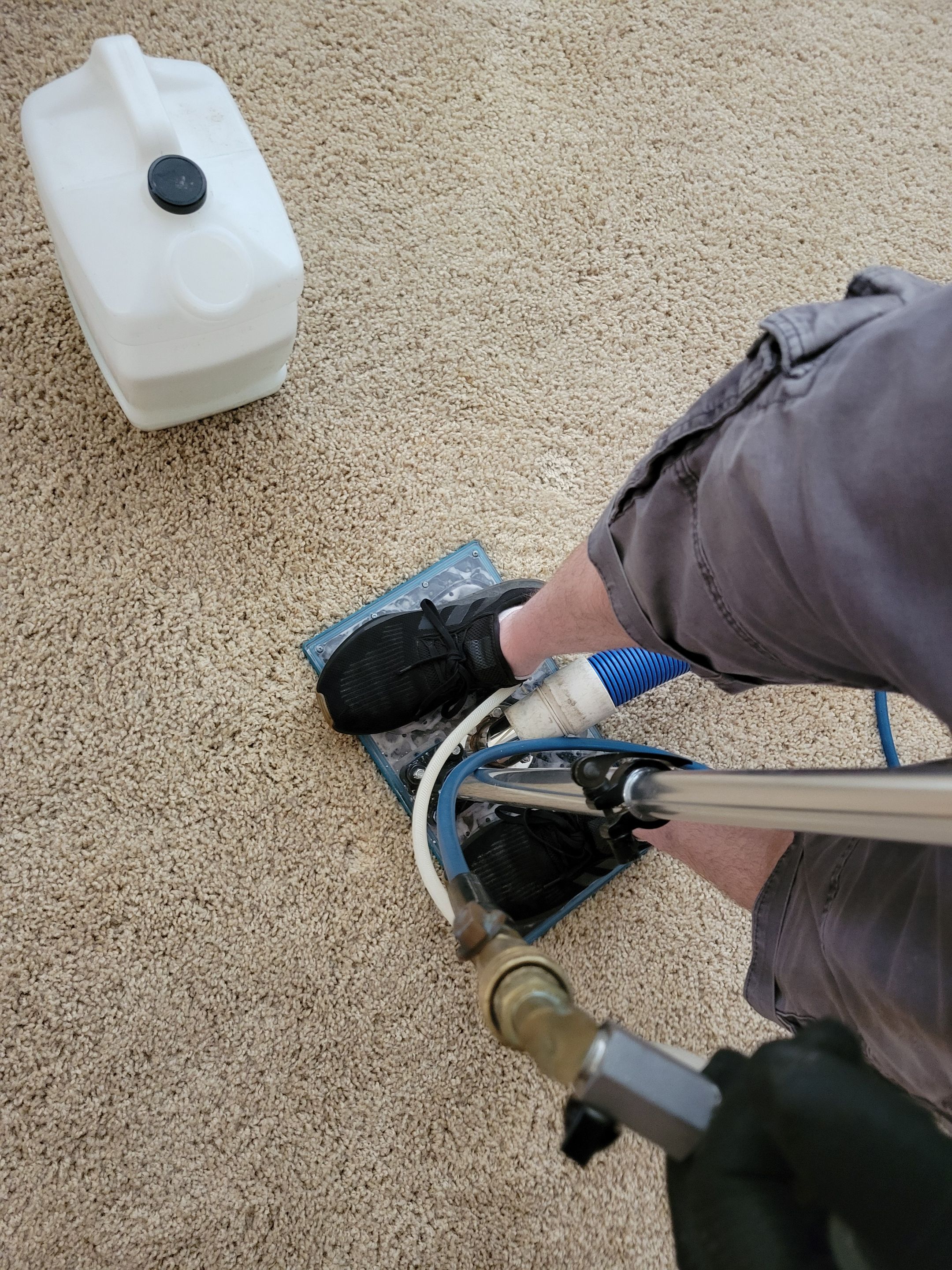 Subsurface Pet Treatment, Carpet Cleaning by Ardent Carpet Restore LLC