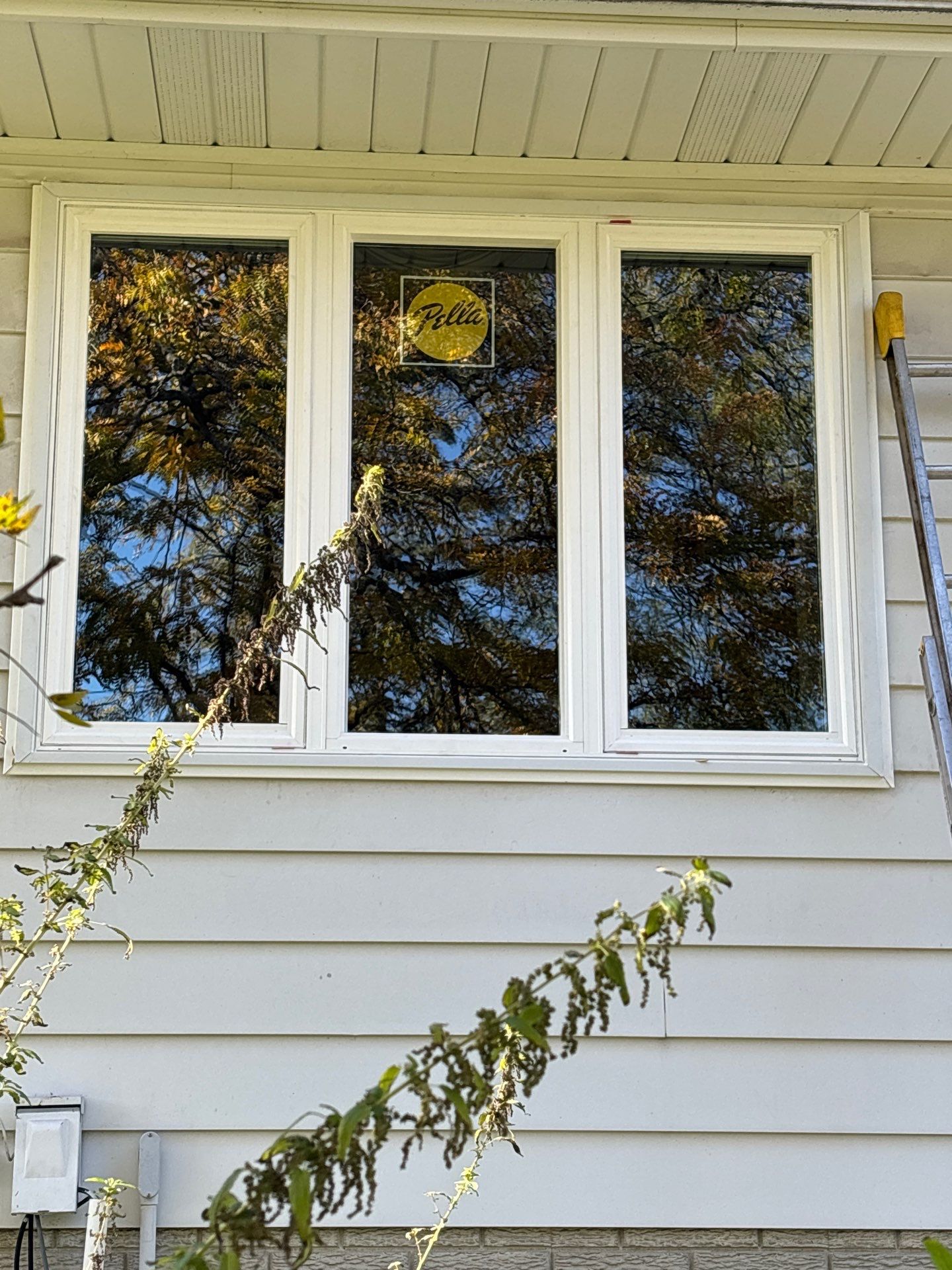 New Windows and Storm Door by 42 North Construction, LLC.
