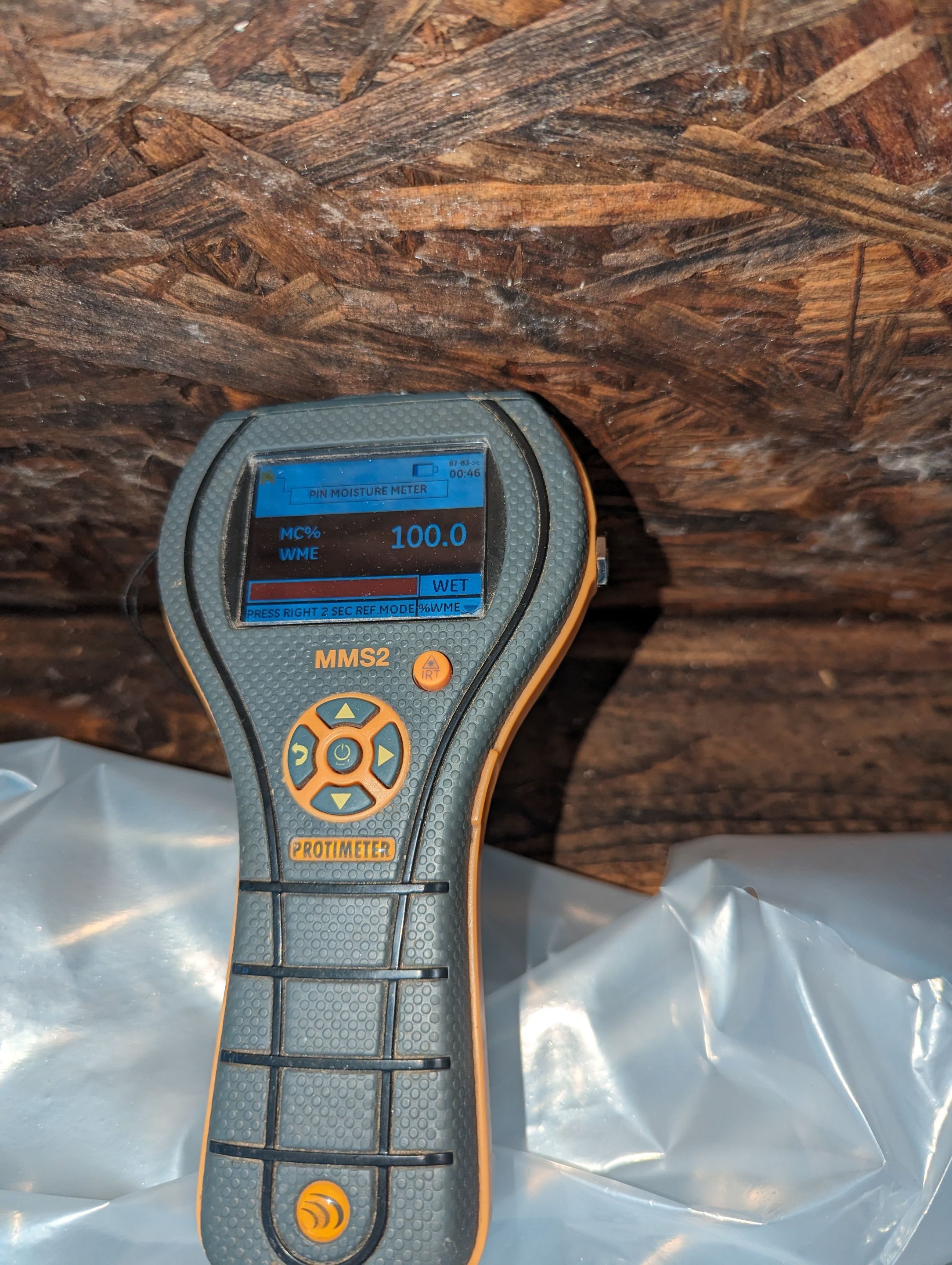 Mold Remediation in Jeffersonville, IN by ANR Restoration