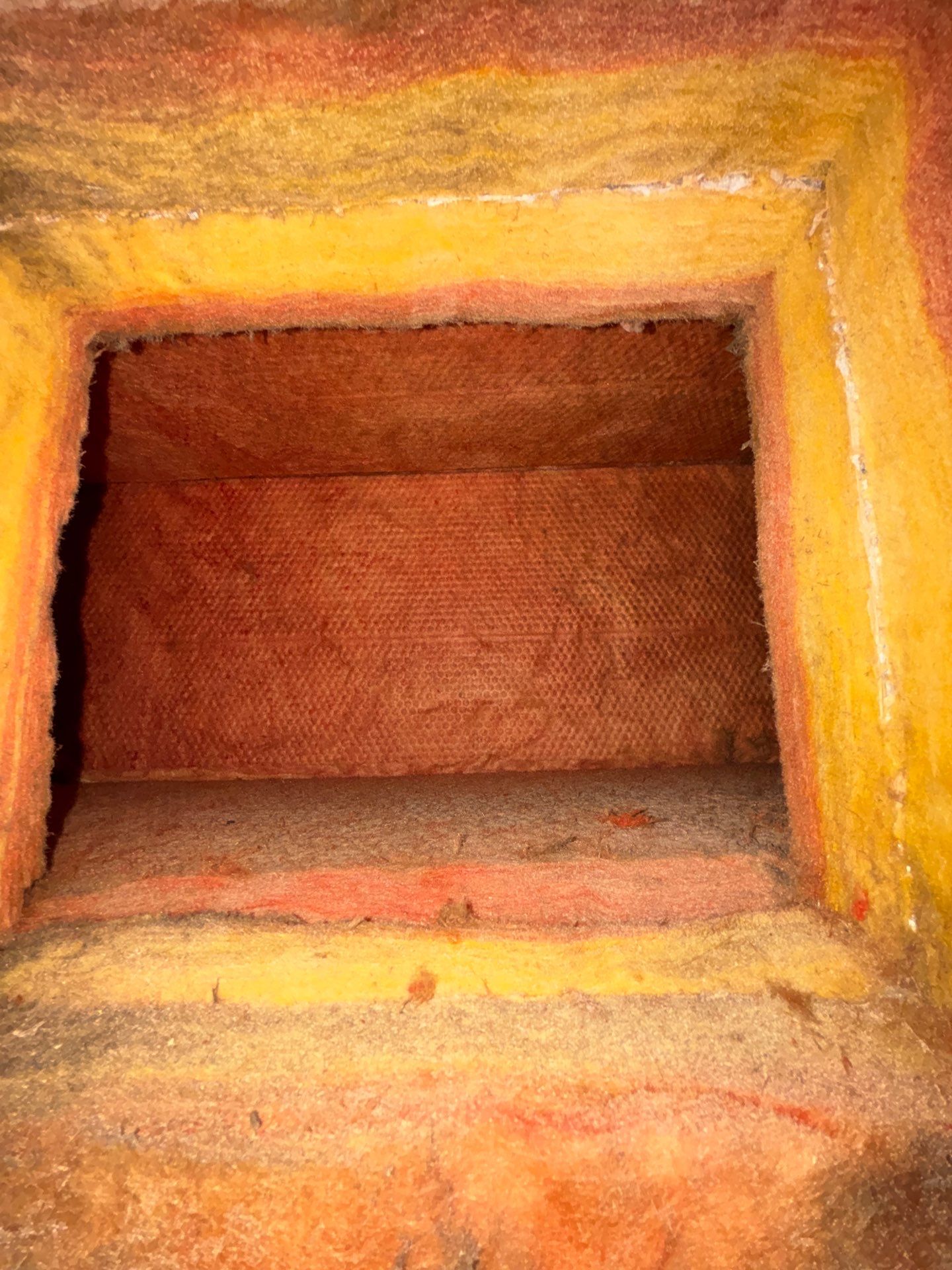 Air Duct Cleaning in Clermont by Hygienic Air, Inc