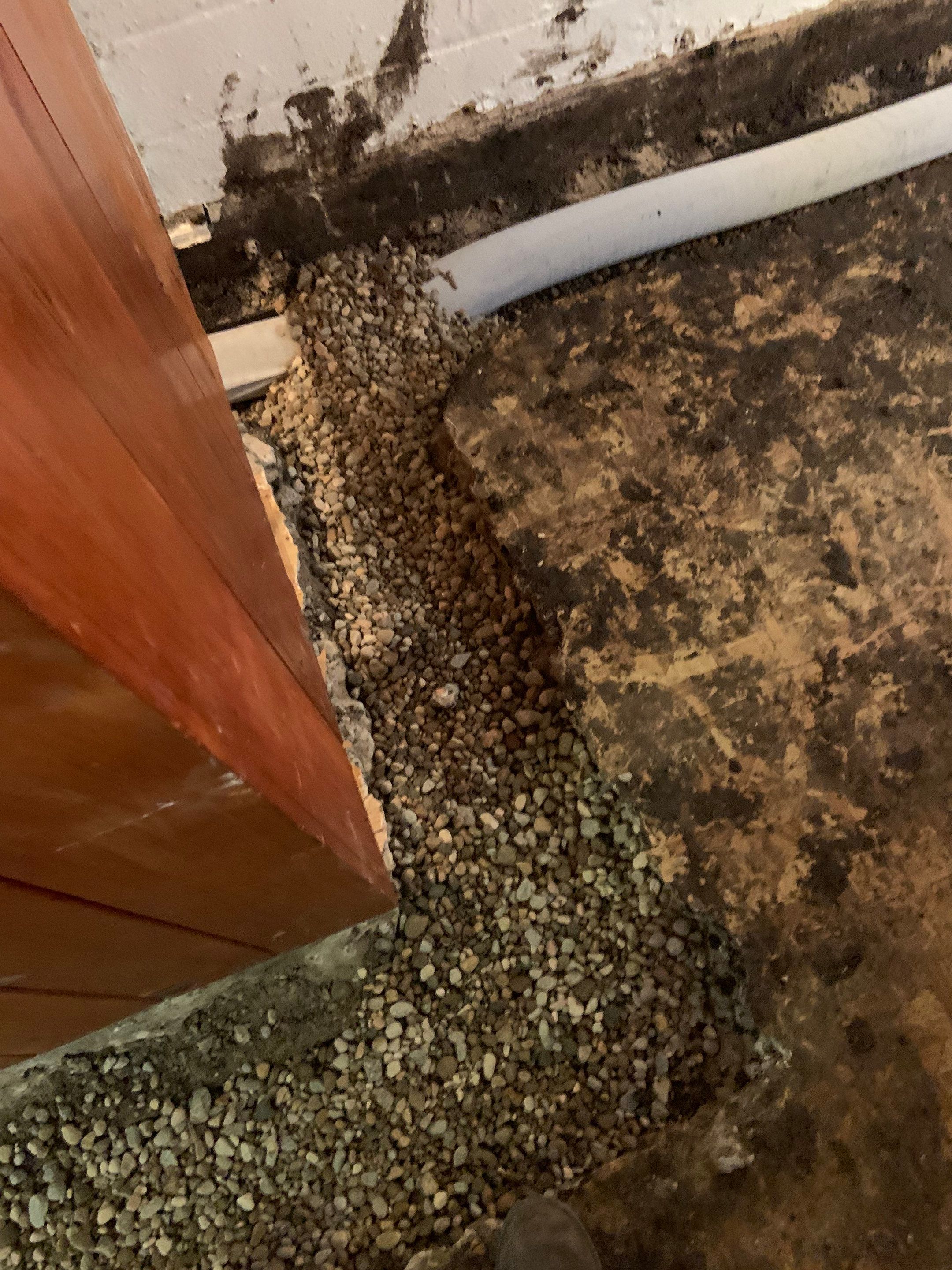 Competitive Pricing & Local Expertise for Claire by Waterproofing Northeast