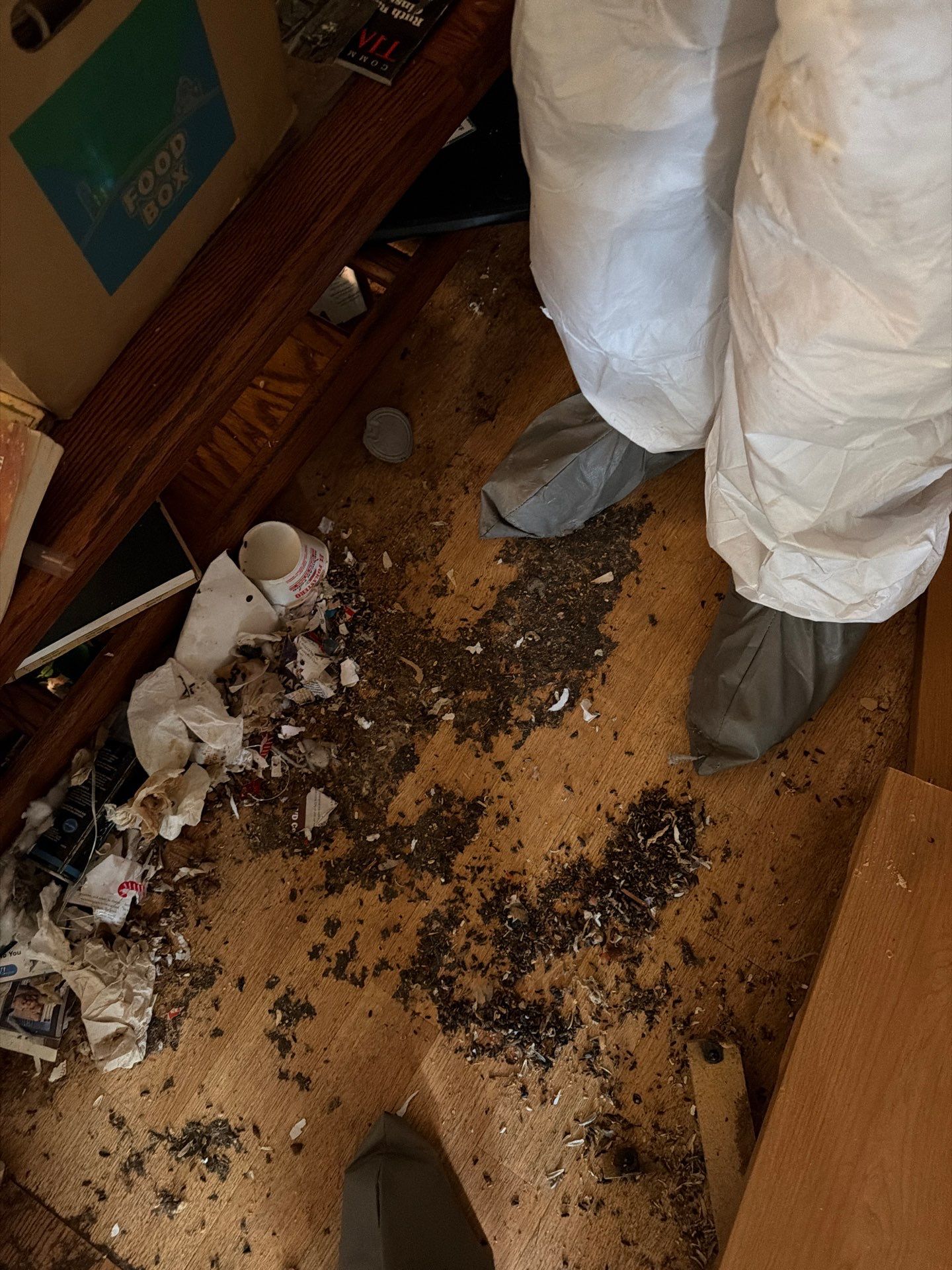 Project in Auburn by 911 Hazmat Cleanup 