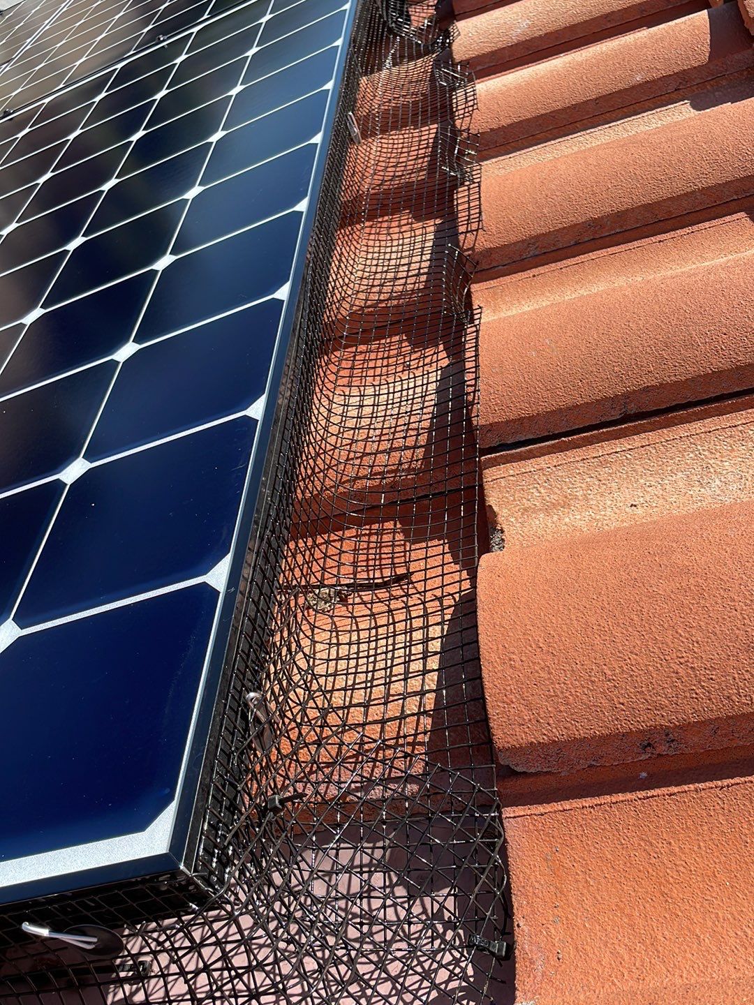 Solar Panel Bird Proofing using Critter Guard Mesh by All One Solar Shine
