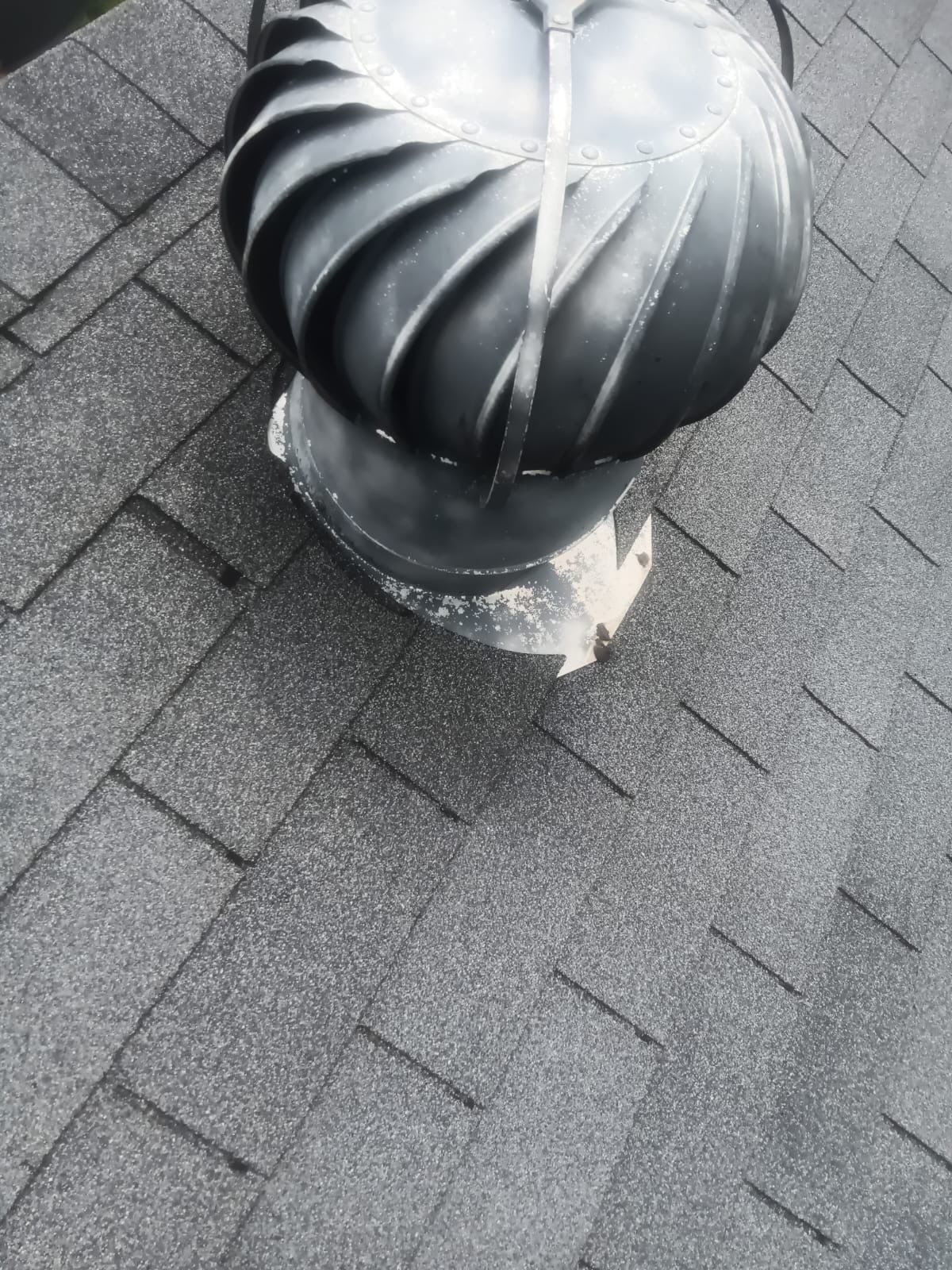Hail Damage using Owen's Corning Duration (Lifetime) Shingles by Roof Repair Company