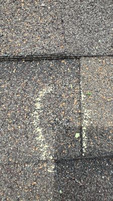 Turtle Shell gutter protection installation in Naperville, IL 60563, photograph 20