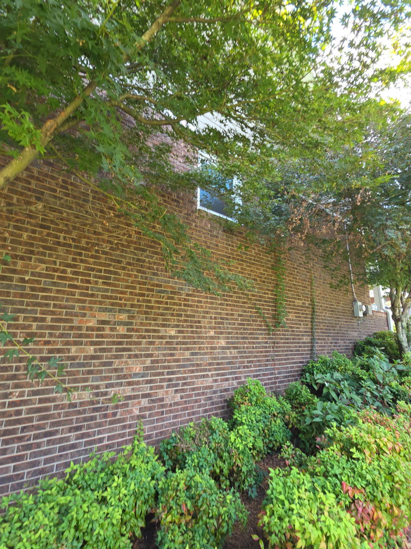 Moore Project in Trussville by The Window Source