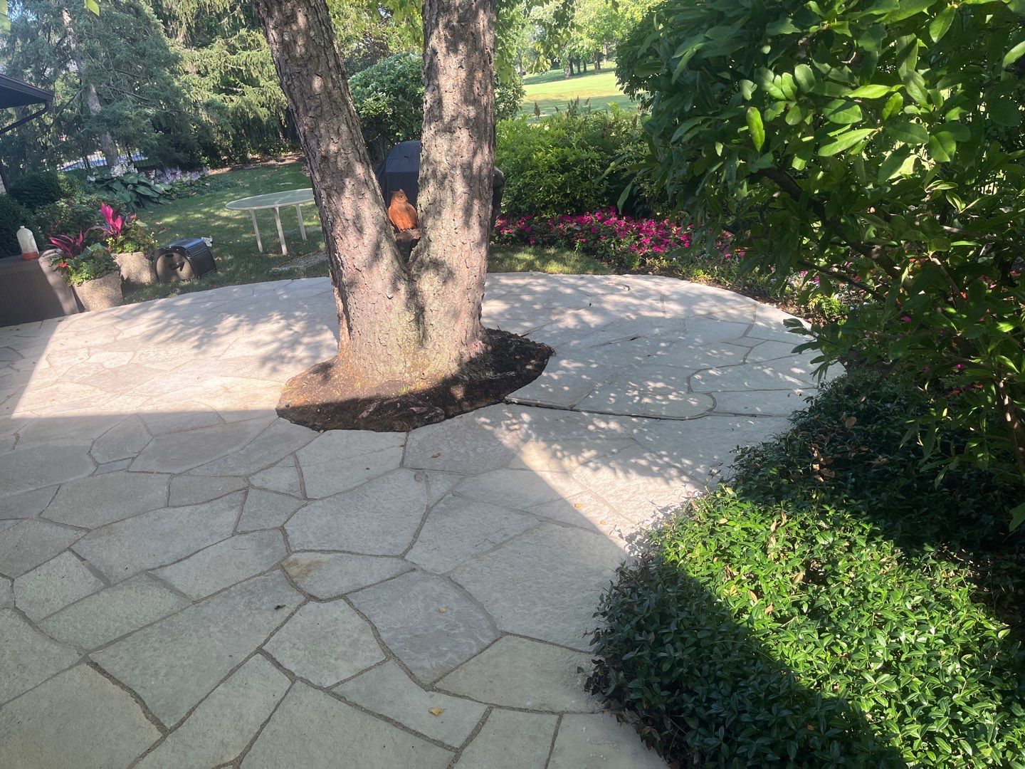 Brick paver clean, sand and seal.  using Surebond SB-1300 by Northern Power Washing LLC.