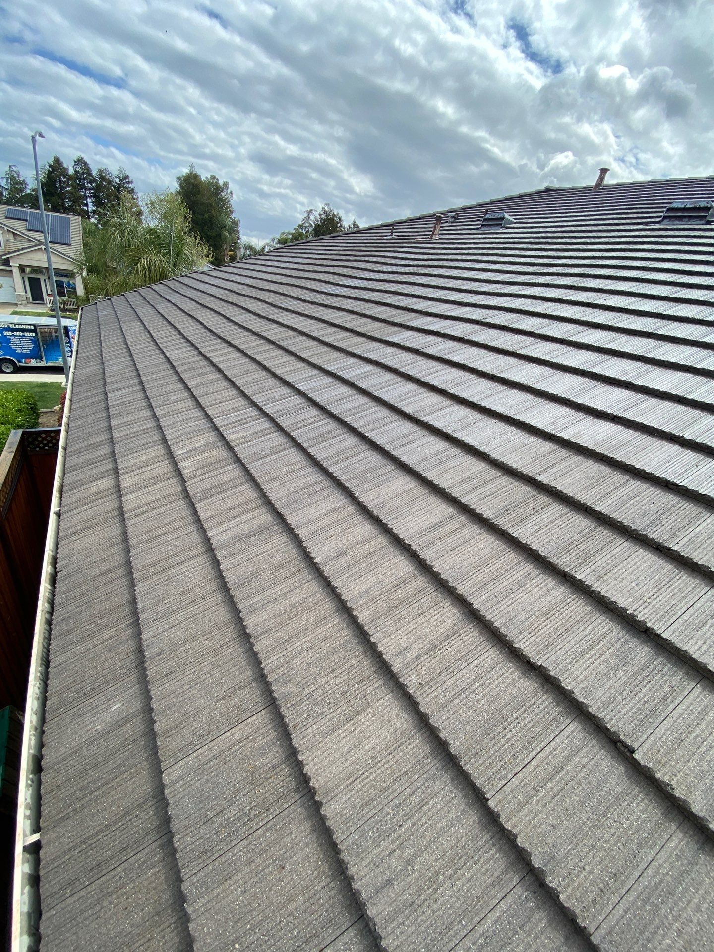 Moss Removal by Top Elevation