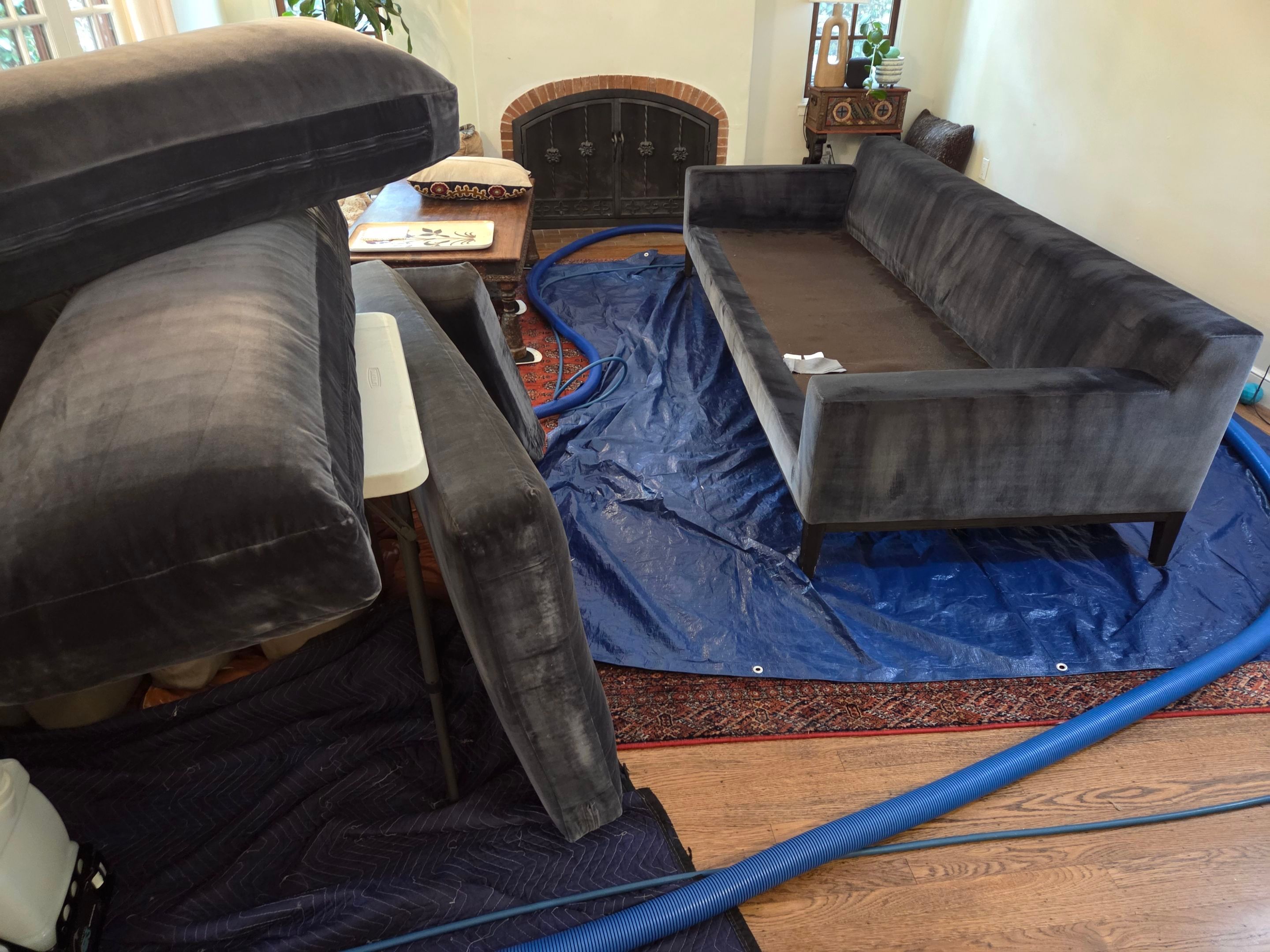 Upholstery Cleaning of Velvet Sofa in East Sac by Ardent Carpet Restore LLC