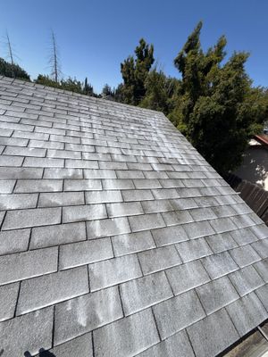 Roof Rejuvenation using Roof Maxx Treatment
