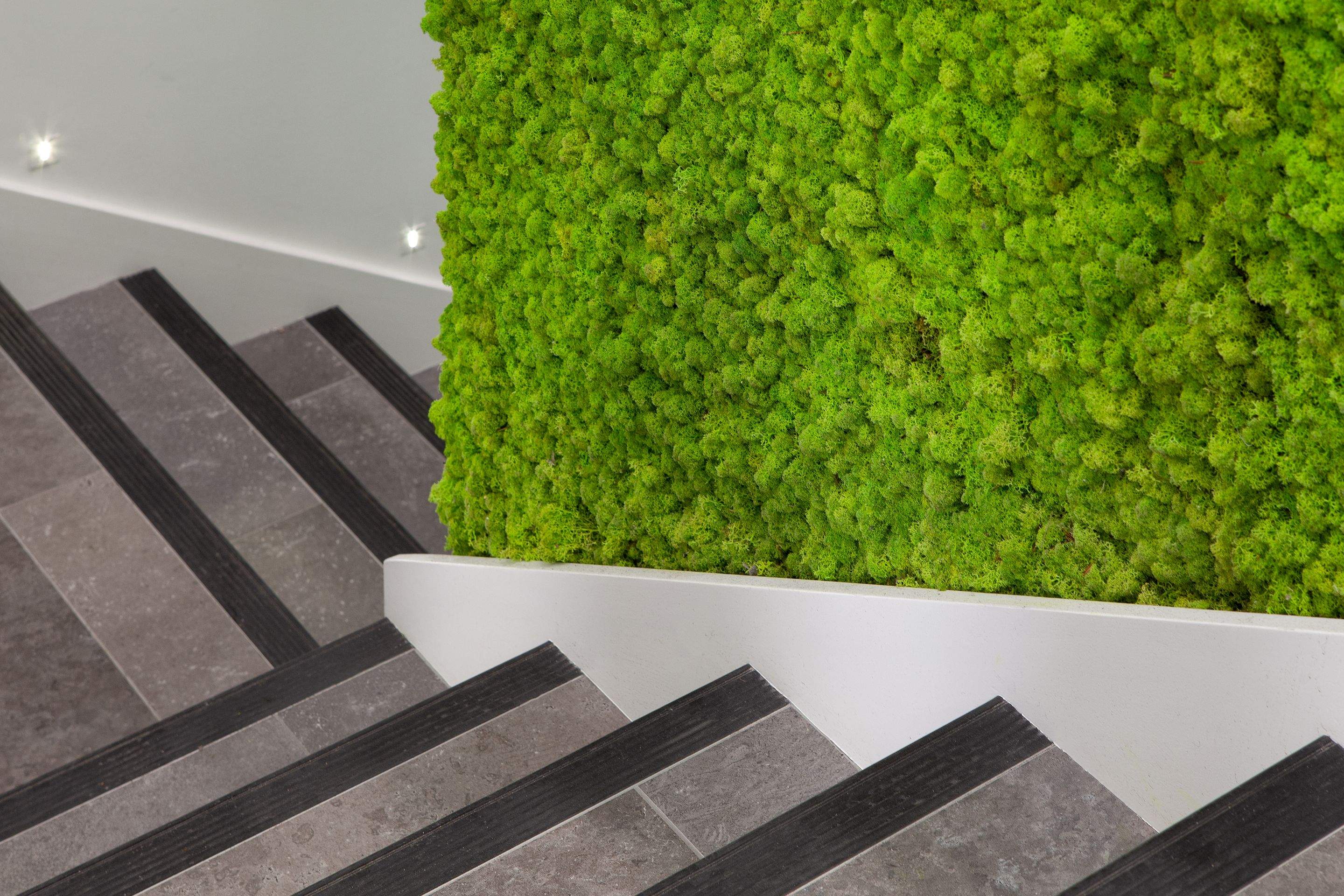 GFL Office Renovation – Commercial Interior Painting (Squamish) by Top Coats Professional Painting